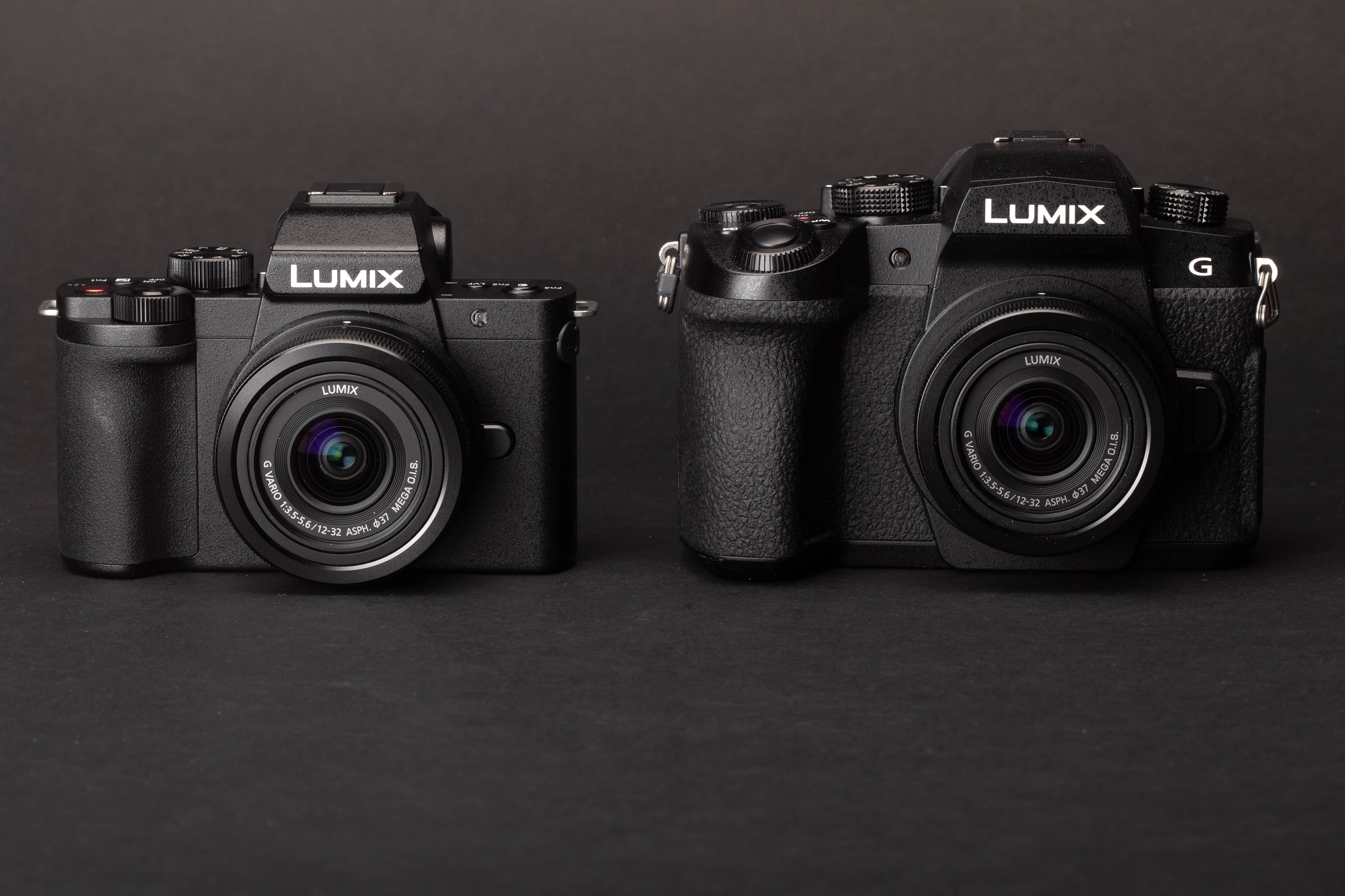 Panasonic Lumix G100 | lupon.gov.ph