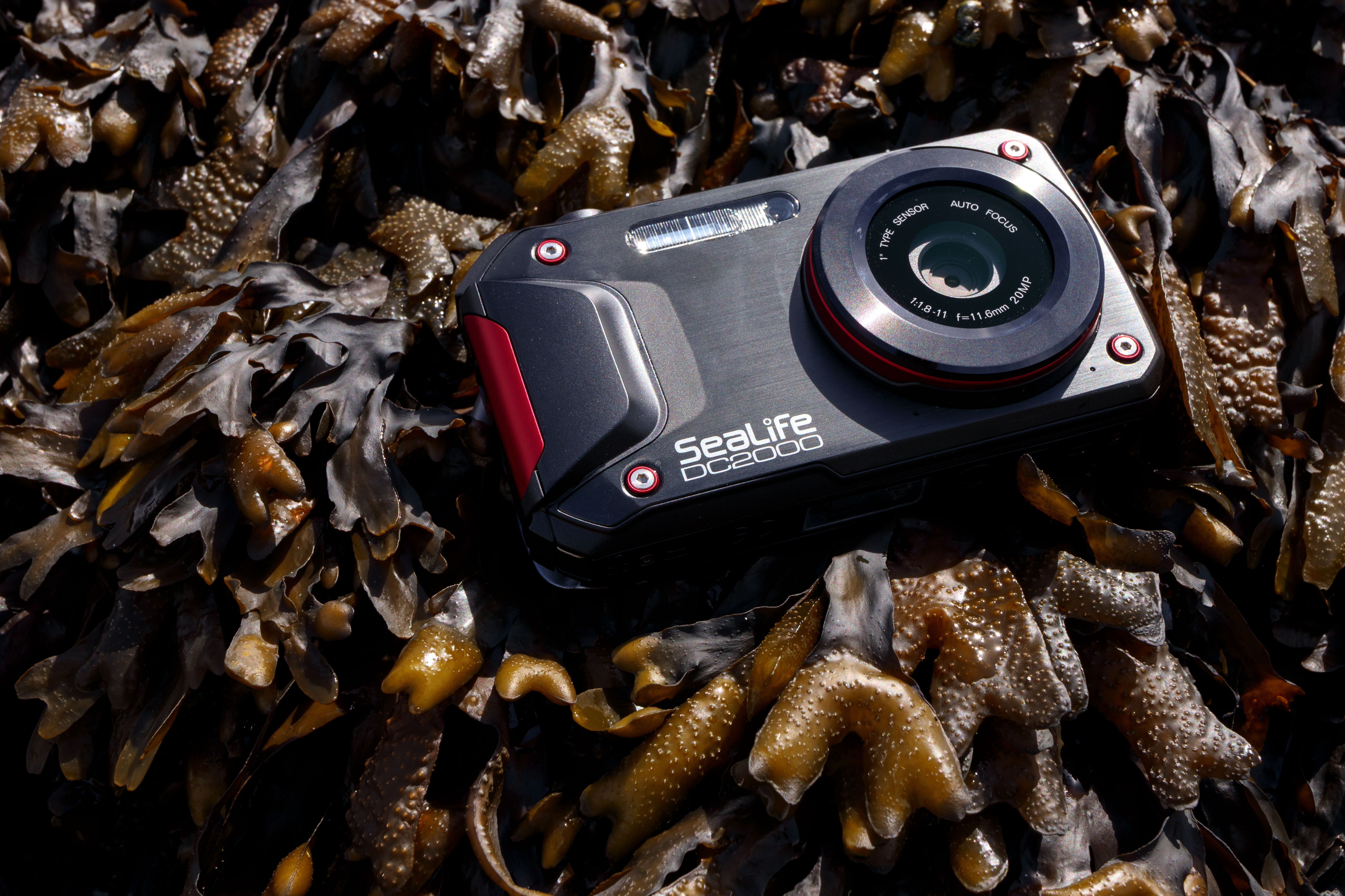 The SeaLife DC2000 is the best tough camera you've never heard of