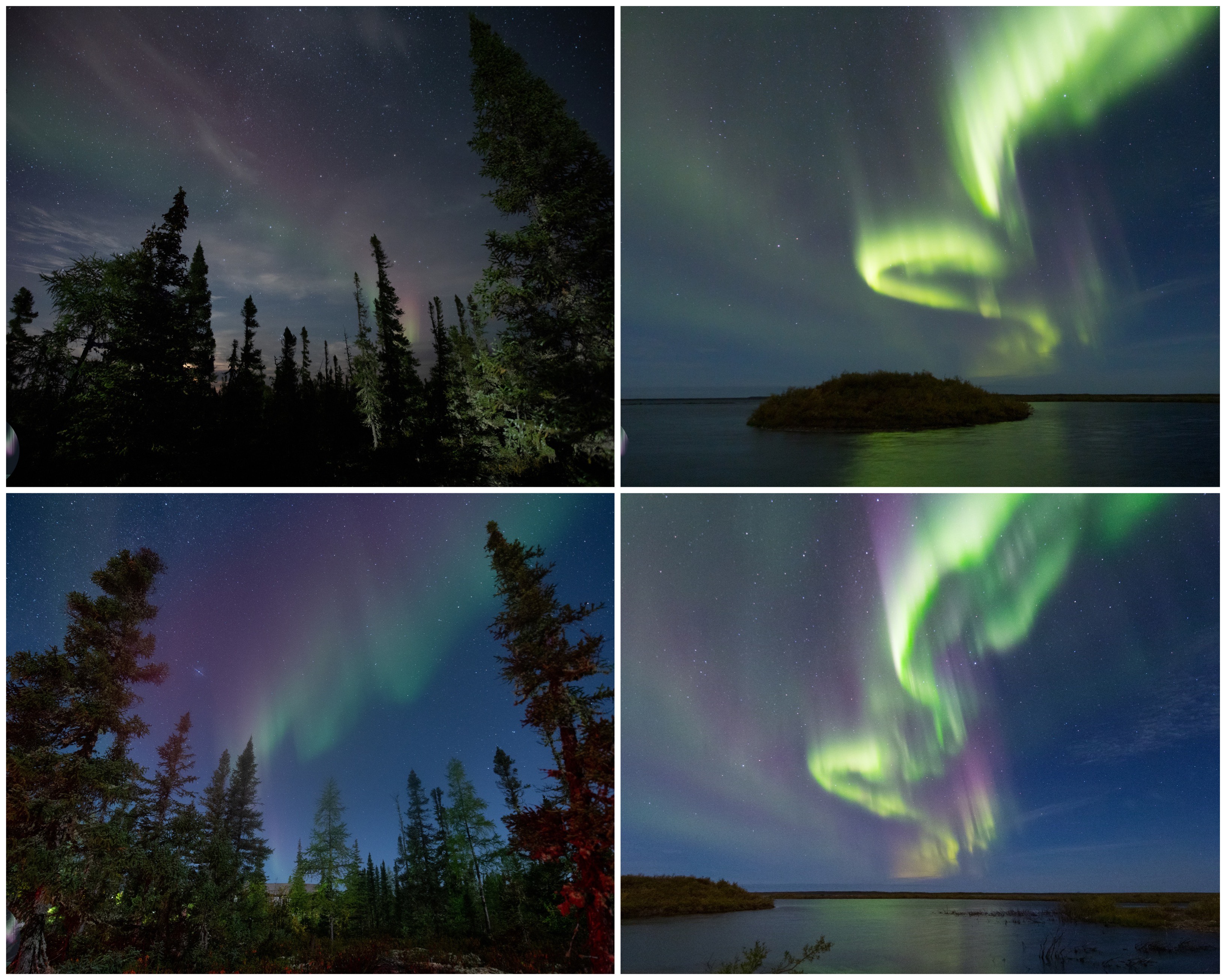 Orion and the Aurora how to photograph these wonders of the winter