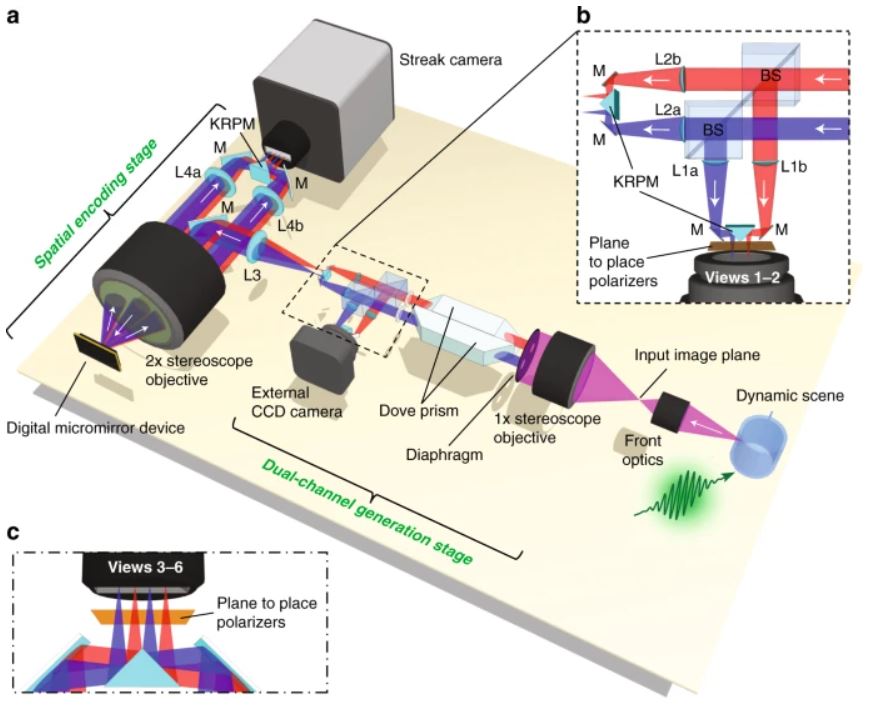 How Many Hertz Can The Human Eye See … if you can get a constant