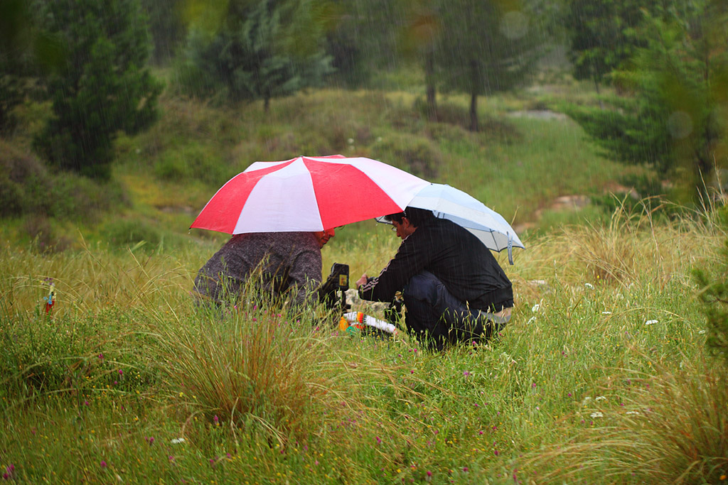 Focus Stacking in Macro Photography Digital Photography Review