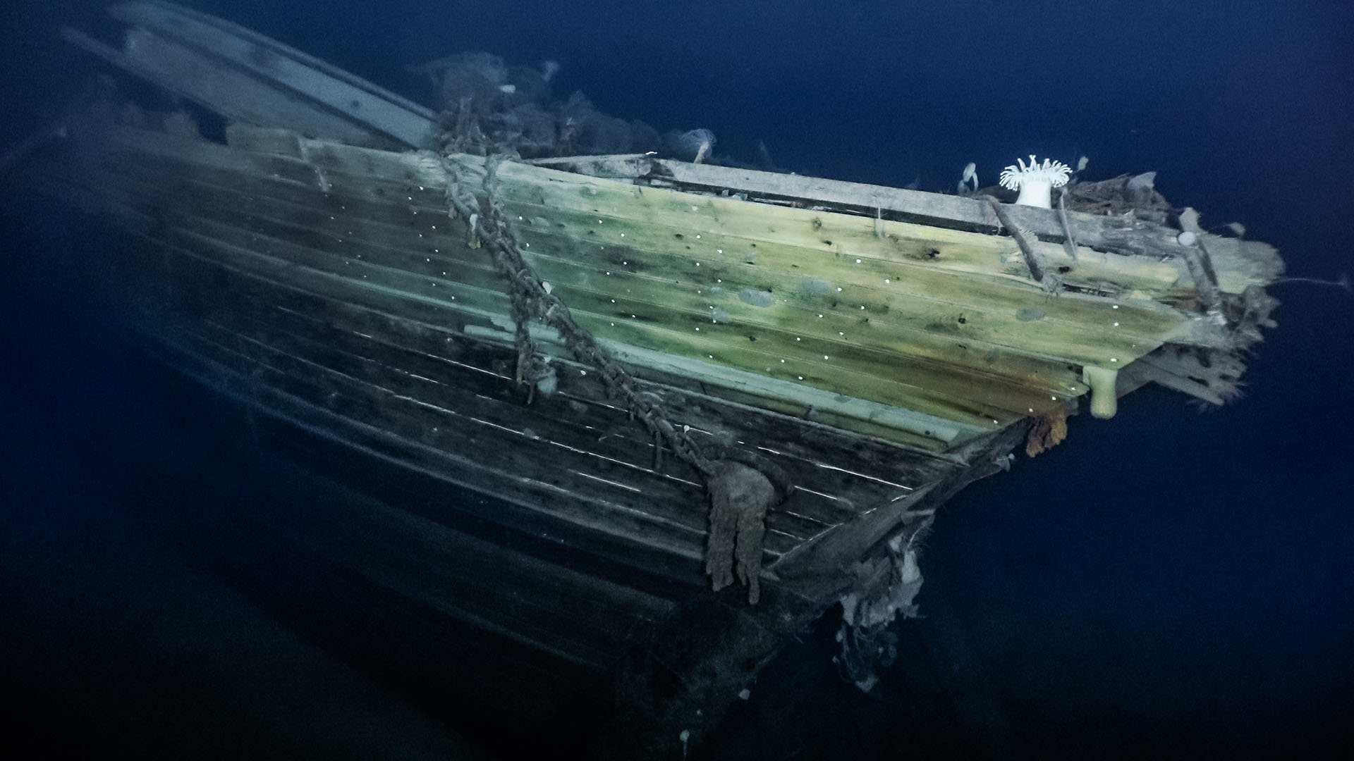Video 107 years after sinking, Ernest Shackleton's ship, Endurance
