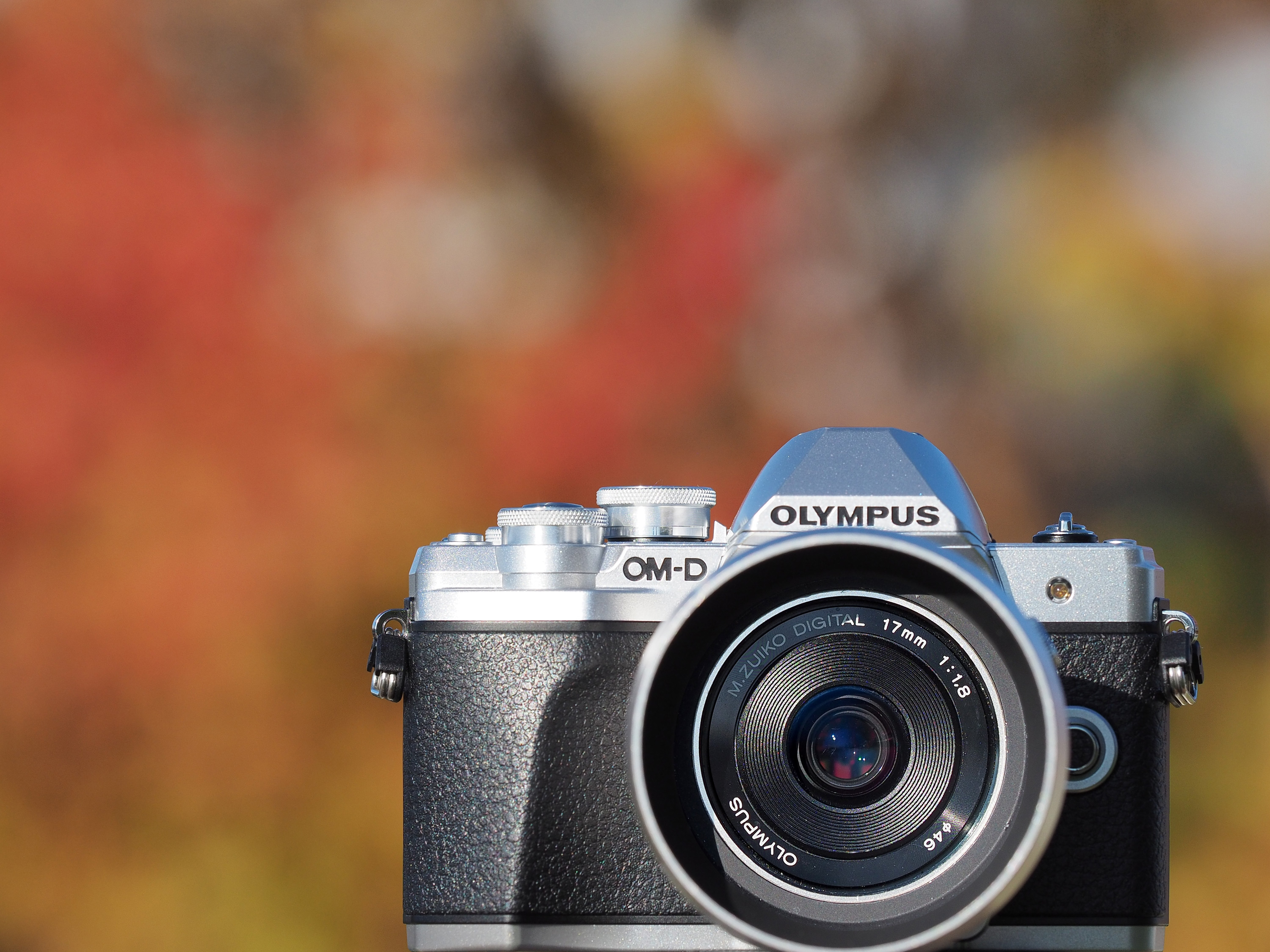 Olympus OMD EM10 Mark III Review Digital Photography Review