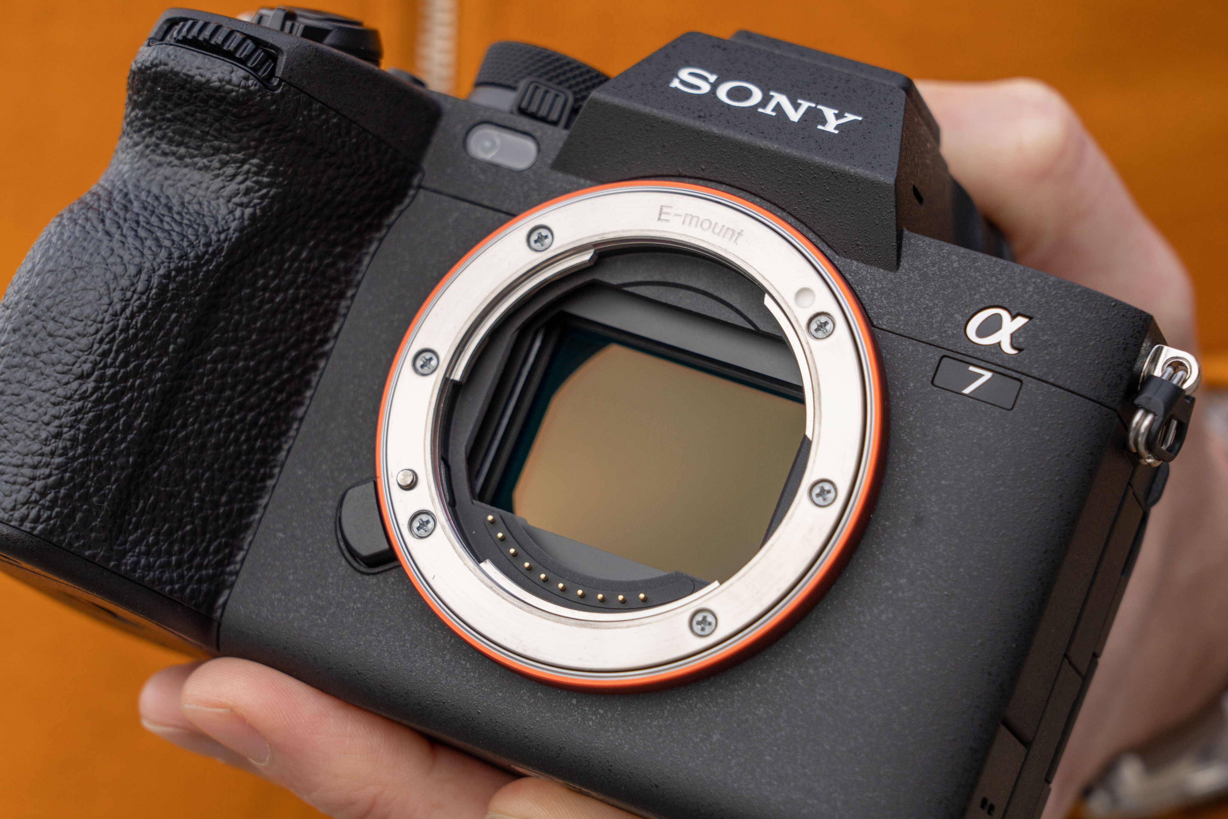 Handson with the new Sony a7 IV