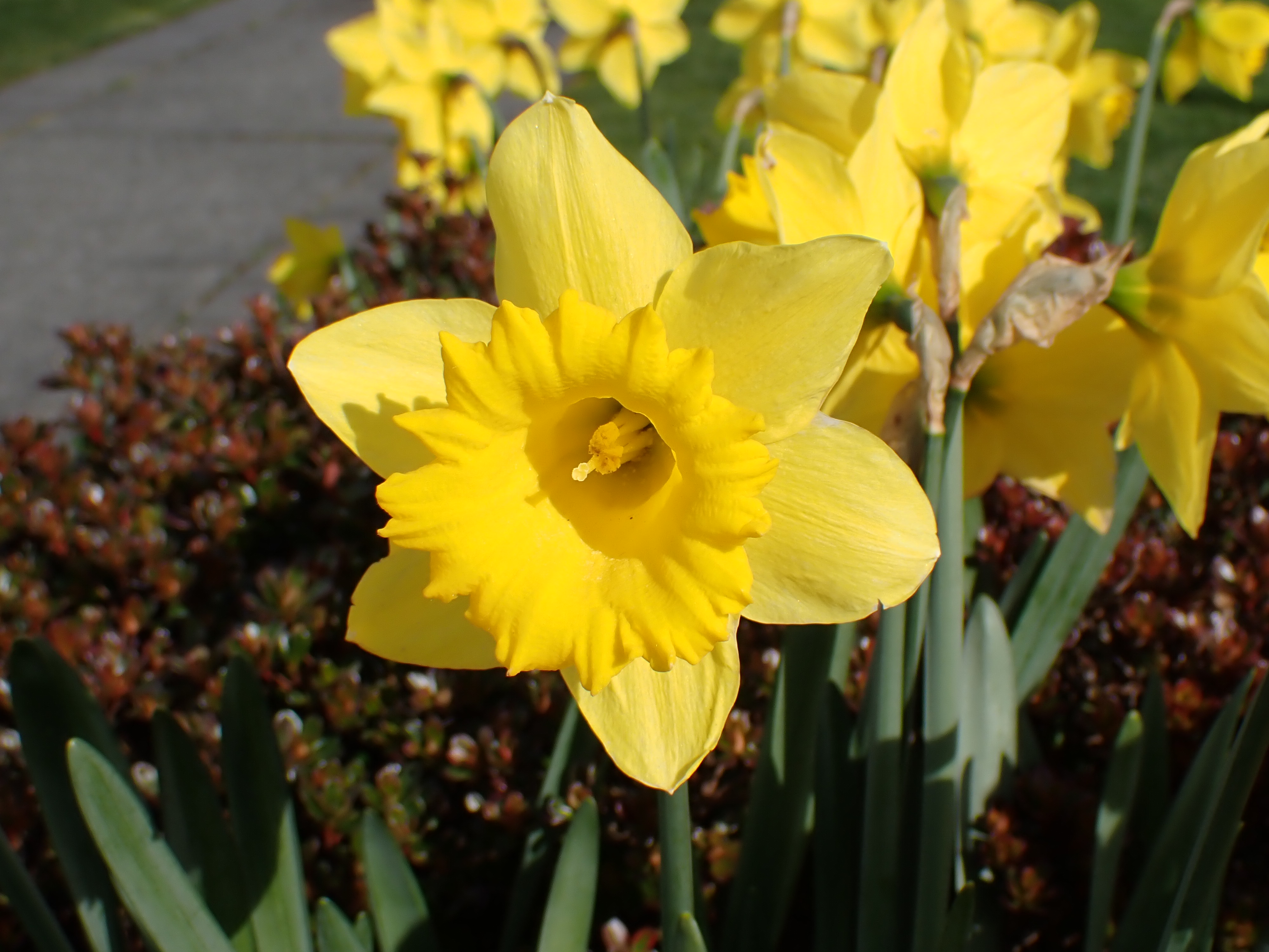 Olympus TG6 review the best waterproof camera on the market Digital