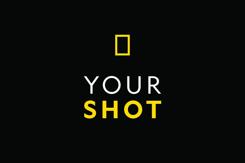 National Geographic will shutter its ‘Your Shot’ photography platform