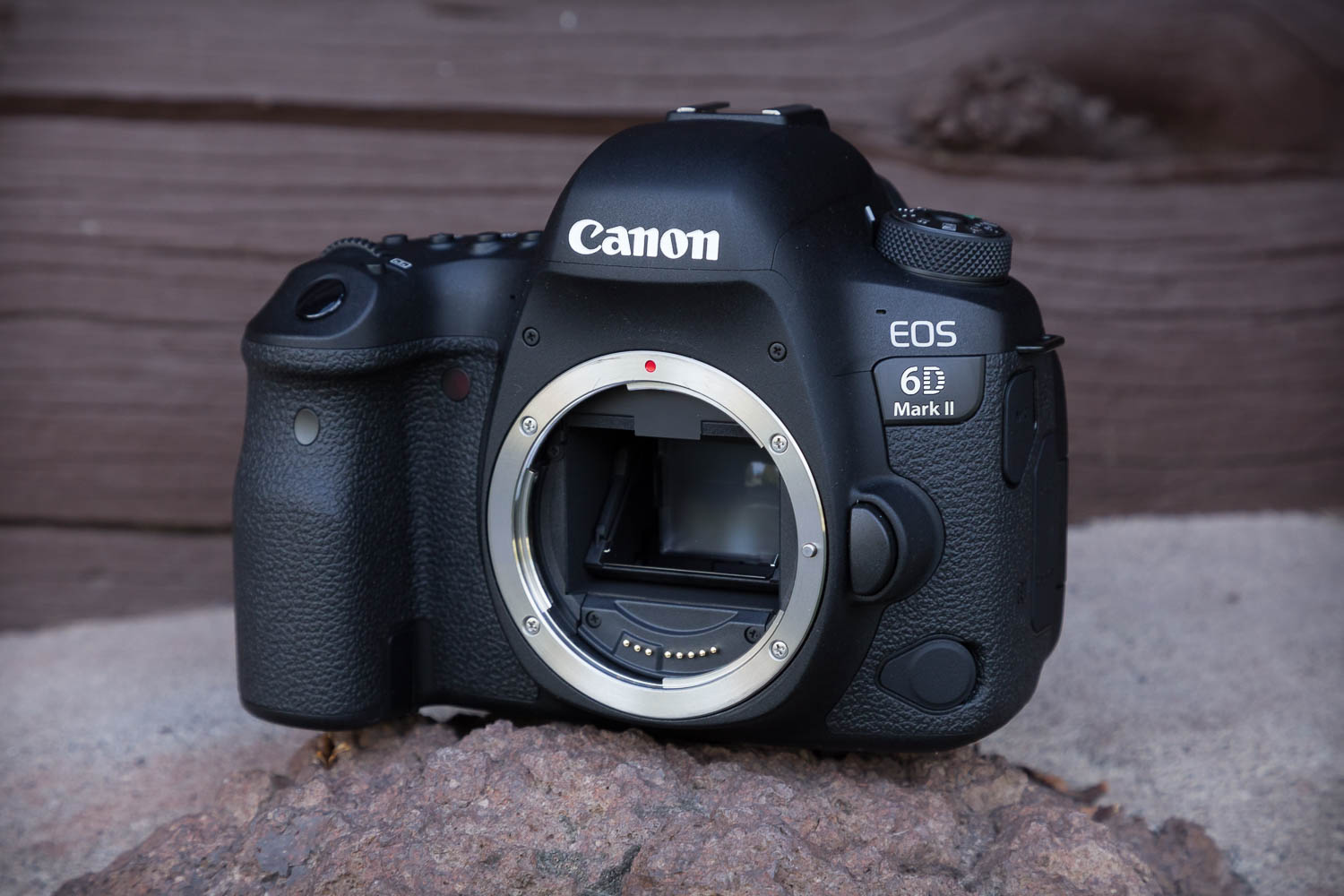 The same but different Canon EOS 6D Mark II shooting experience GearOpen