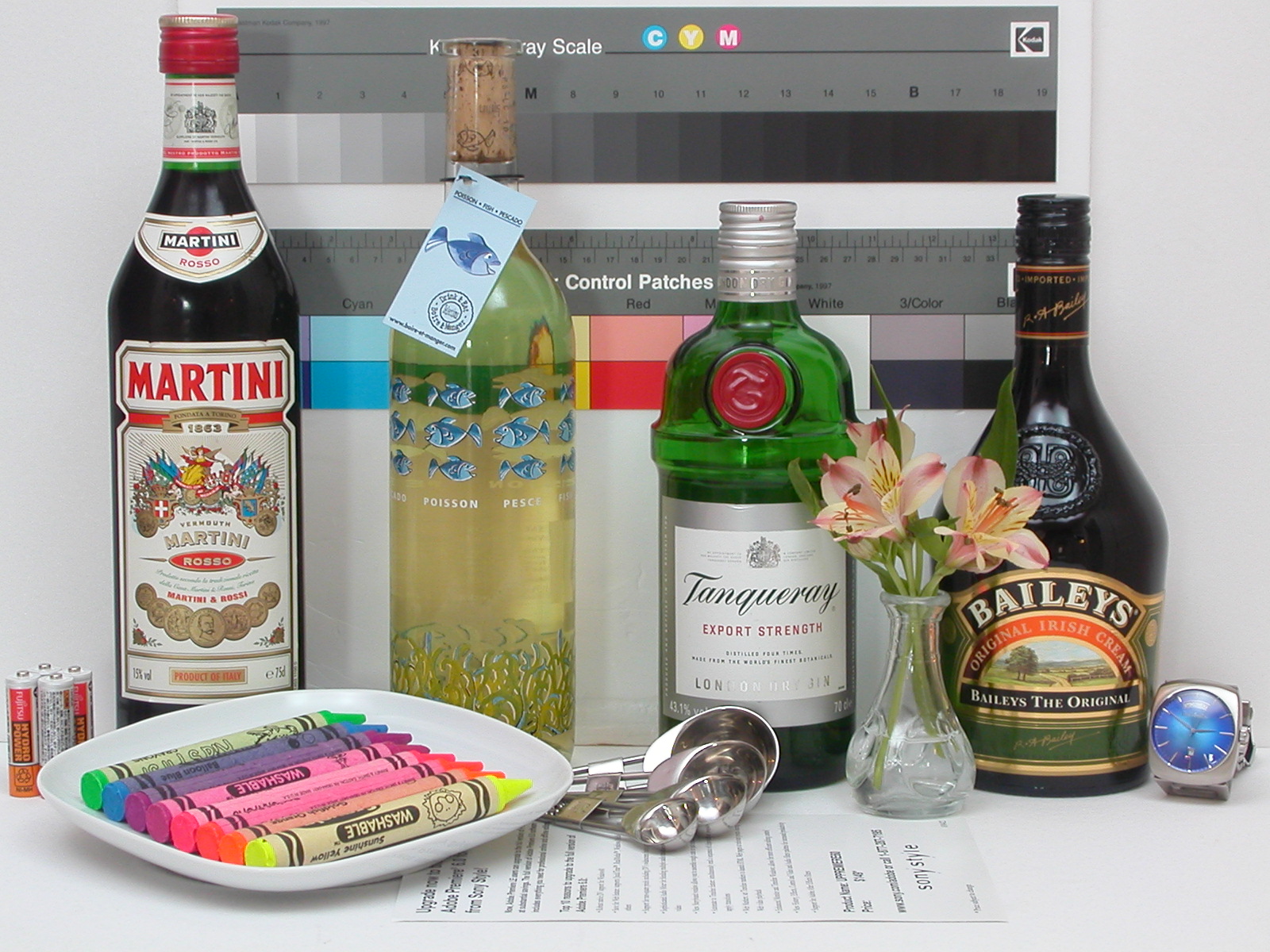 Nikon Coolpix 2500 Review: Digital Photography Review