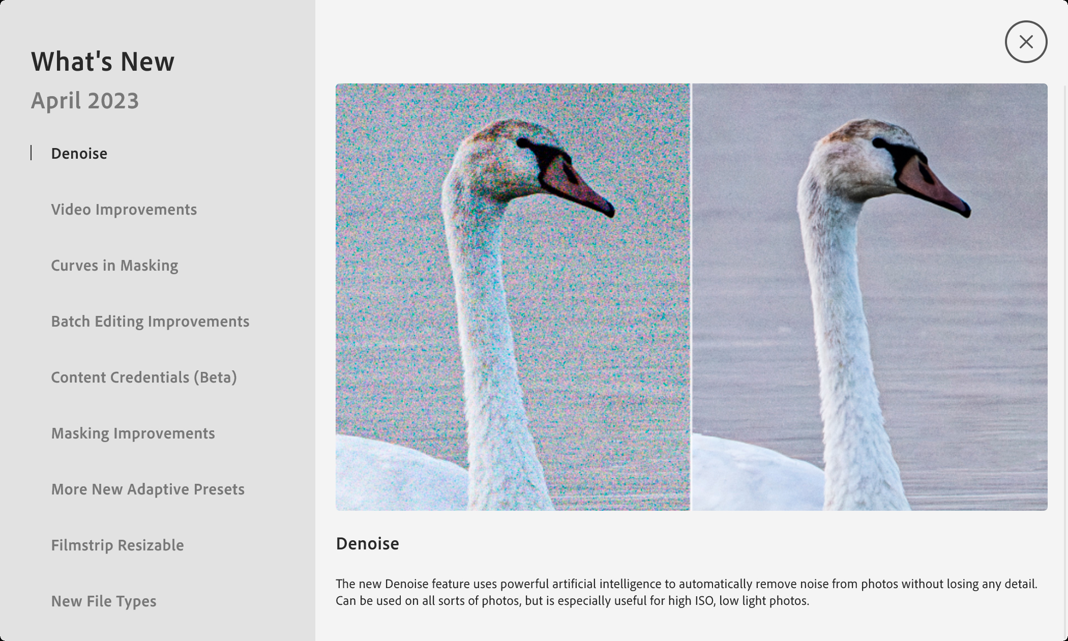Finally! Adobe Denoise brings / Lightroom NR into the modern era Digital Photography