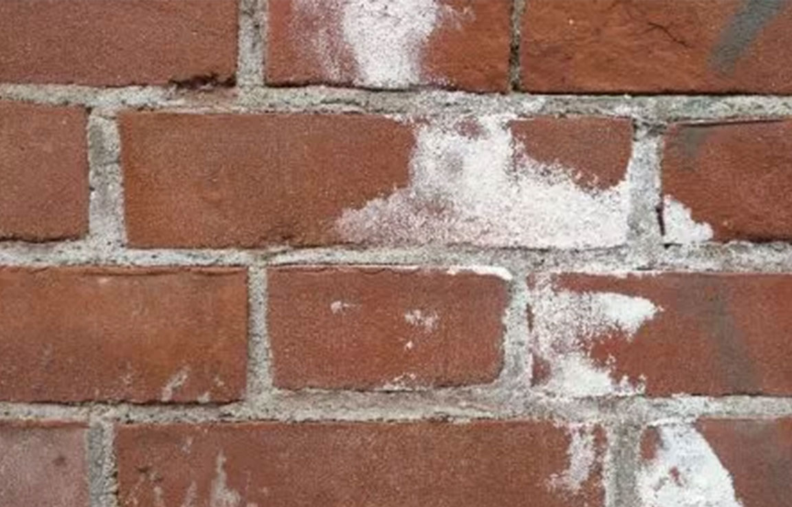 What Is Efflorescence And How To Remove It Diamond Pro Wash, LLC