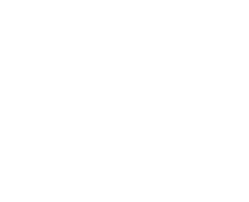 Southern Highlands Local Crane Hire DPS Cranes
