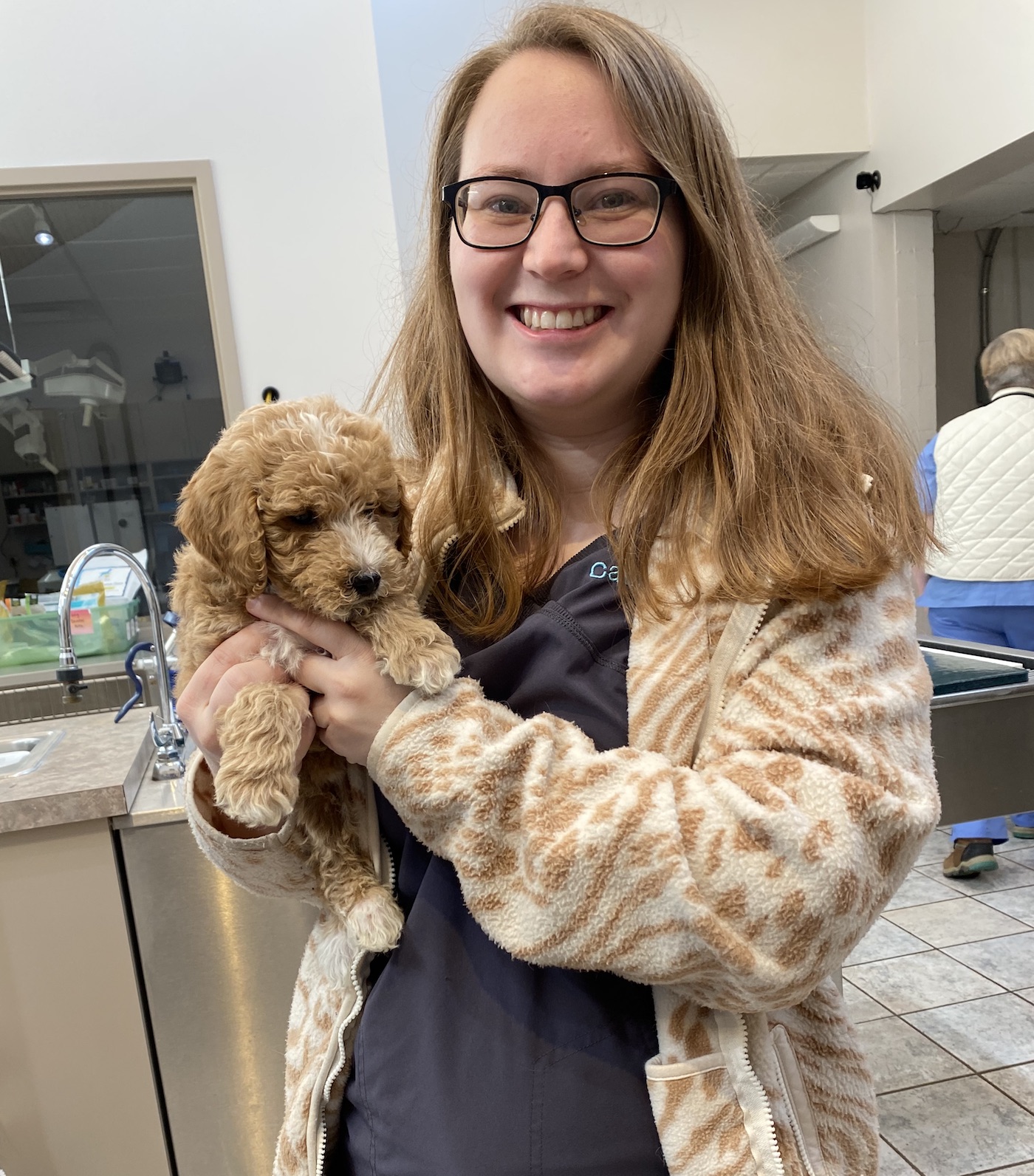 Veterinary Intern/Externship Deer Park Veterinary Hospital
