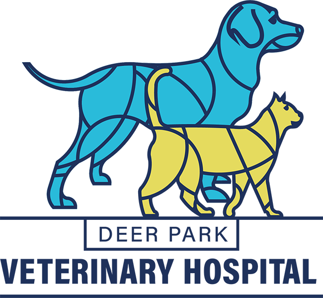 Dr. Jeff Greenfield Deer Park Veterinary Hospital