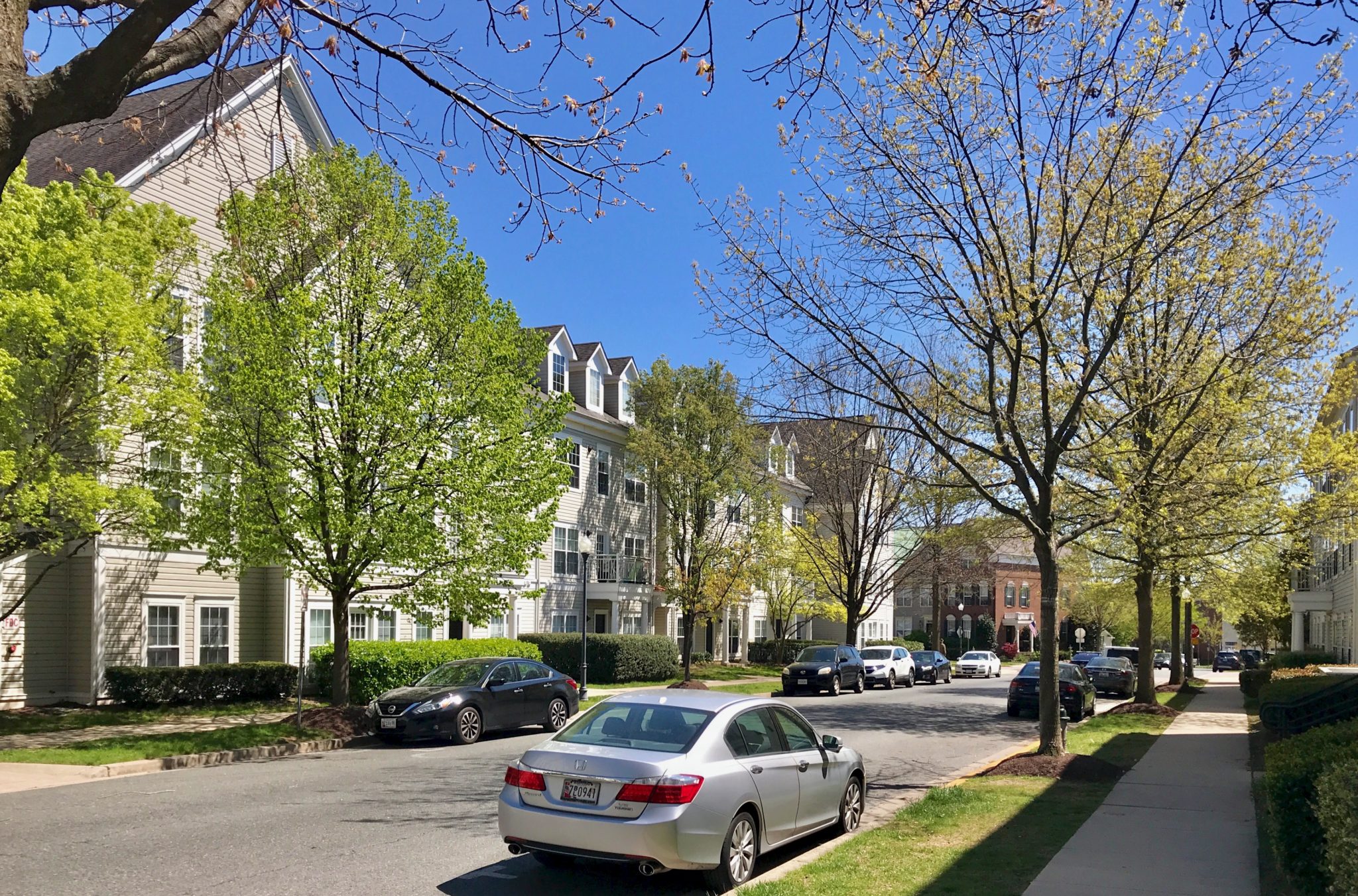 Lakelands DPZ CODESIGN