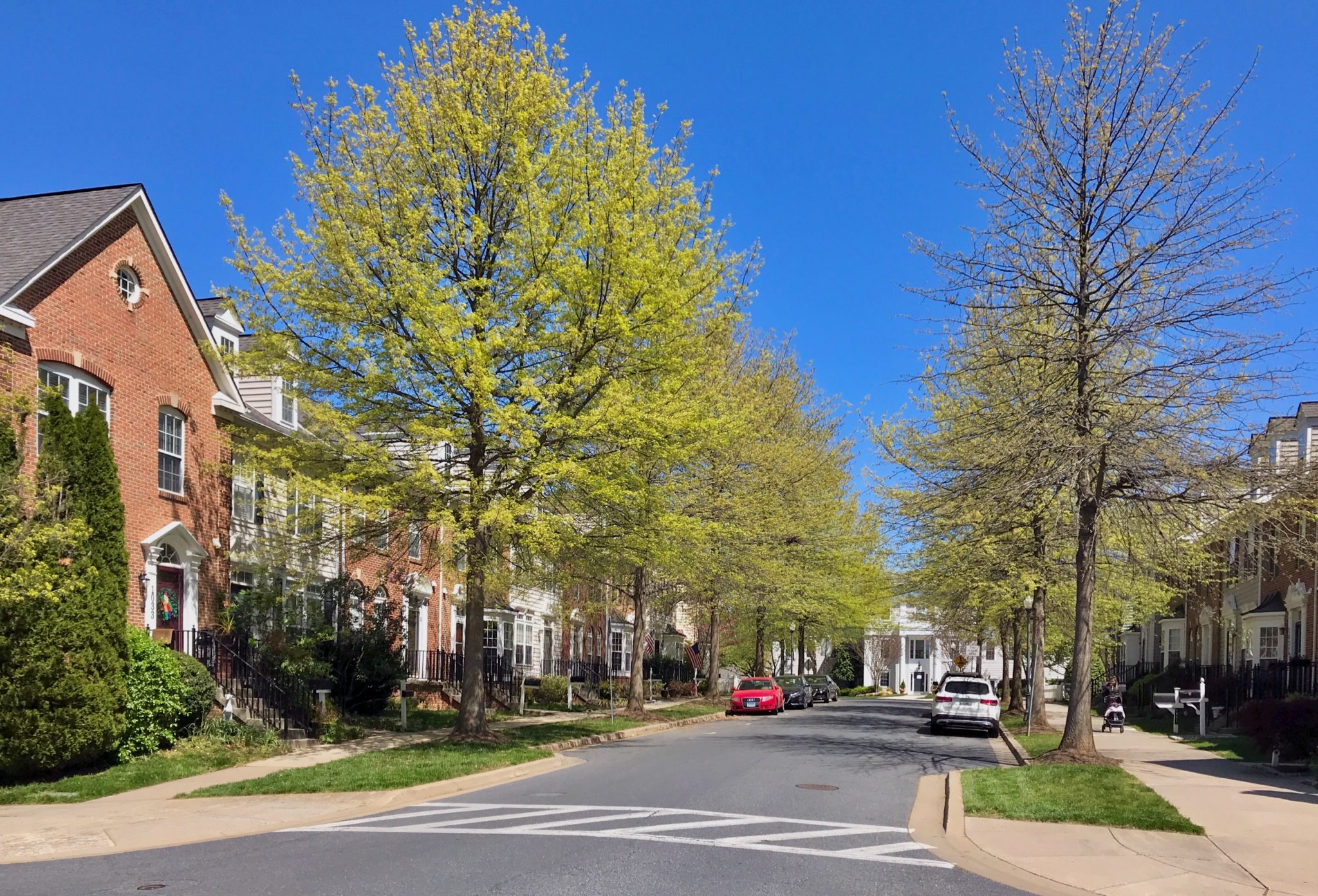 Lakelands DPZ CODESIGN