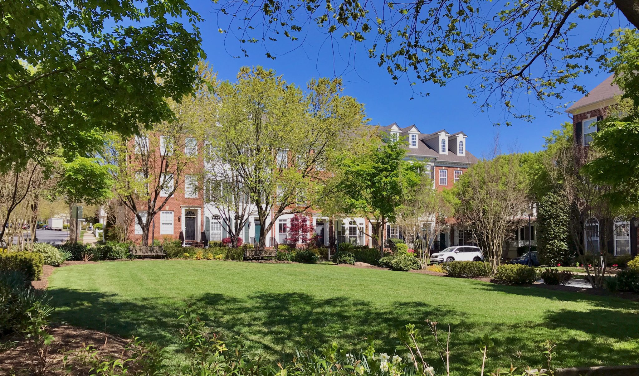 Lakelands DPZ CODESIGN