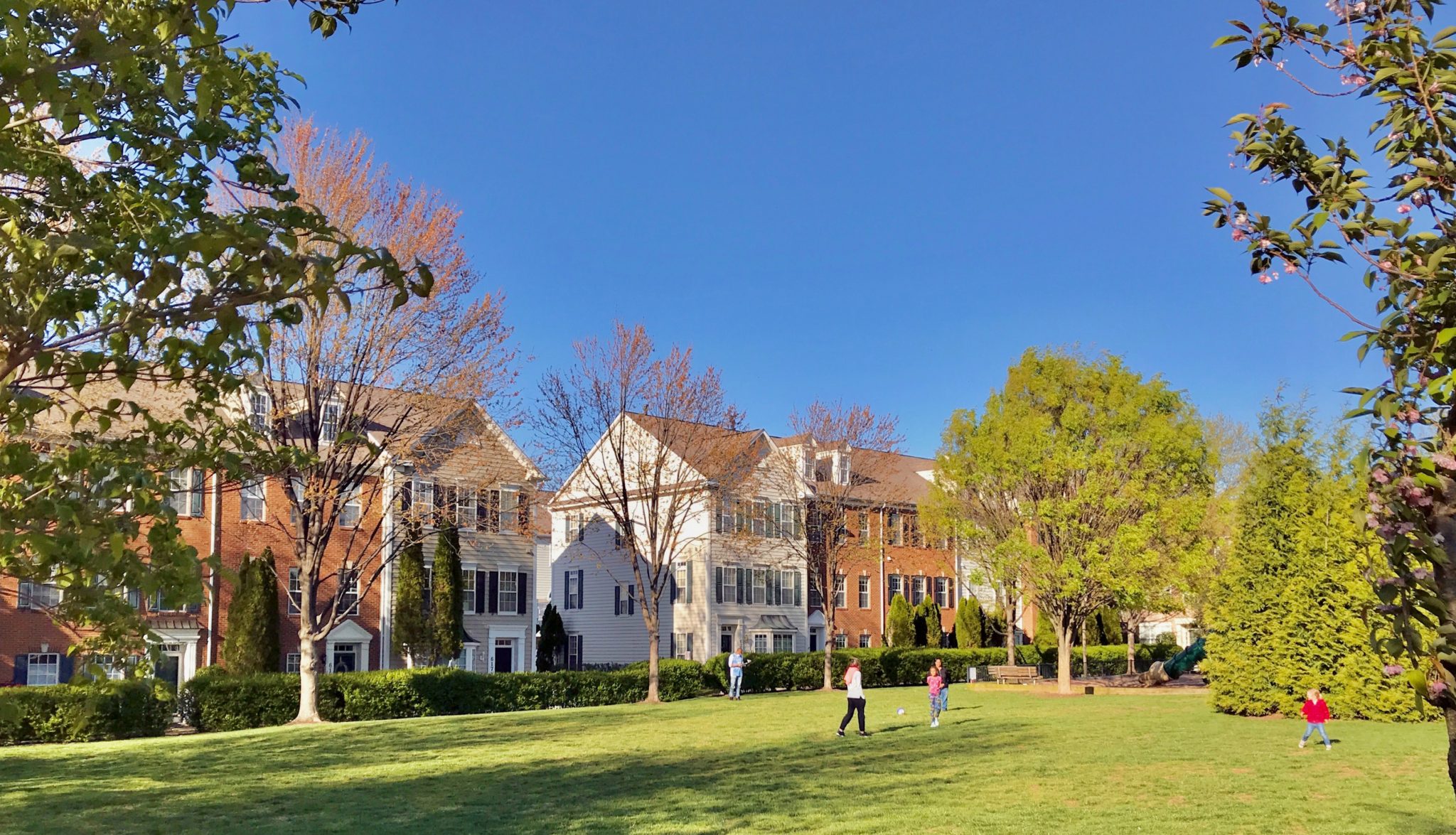 Lakelands DPZ CODESIGN