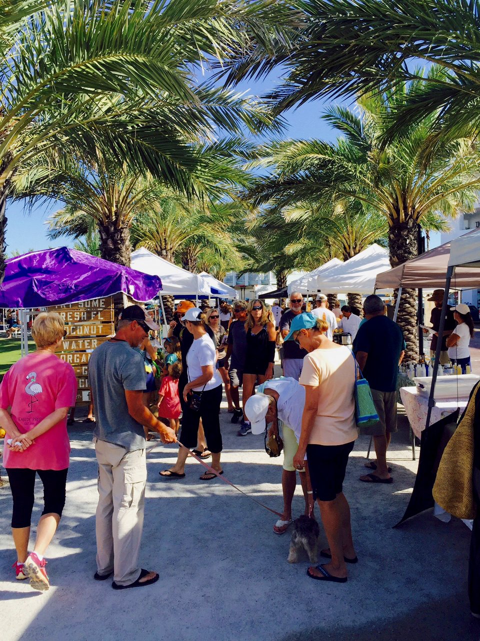 Seaside DPZ CODESIGN