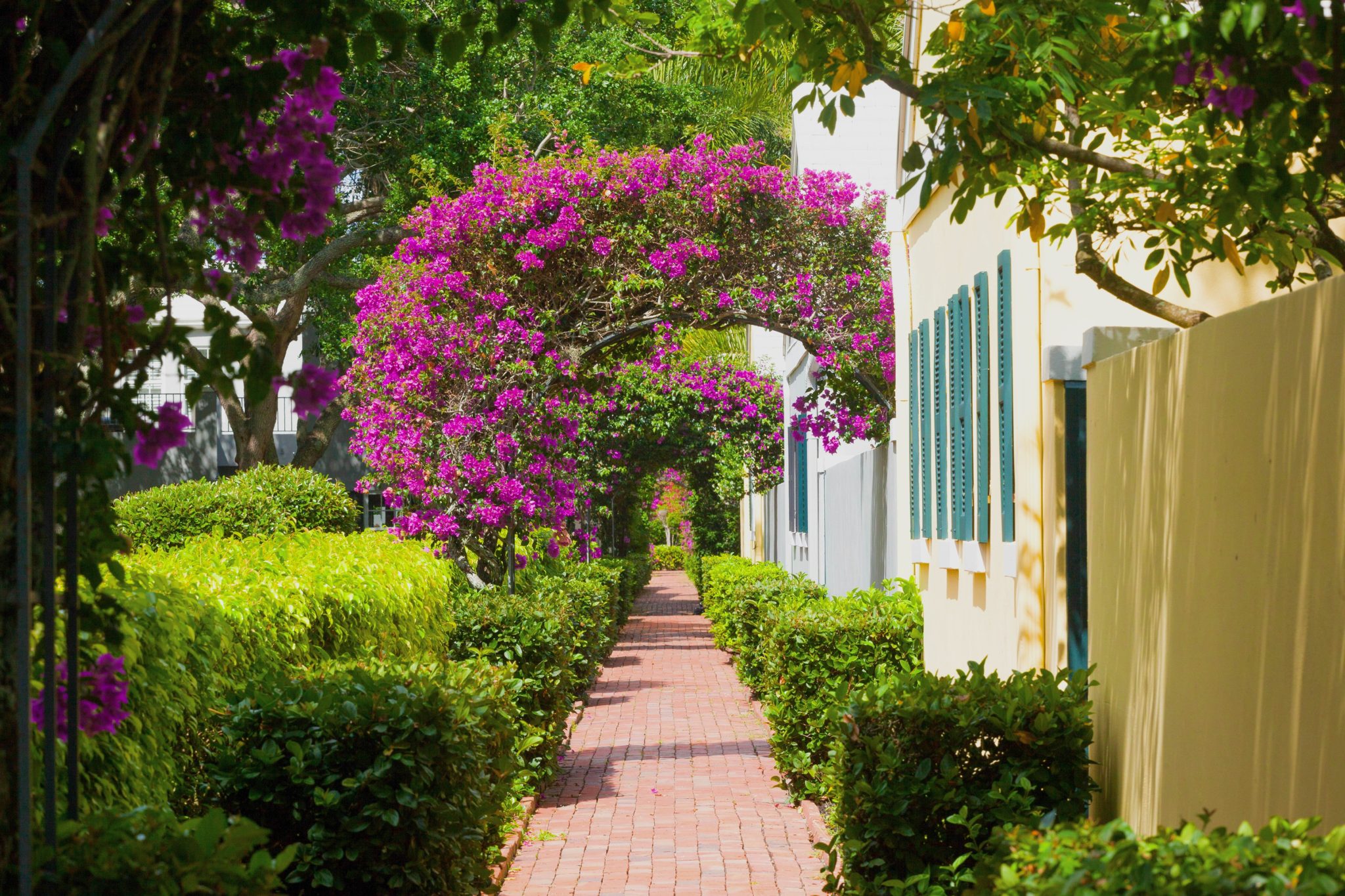 Charleston Place Boca Raton Floor Plans Floor Roma