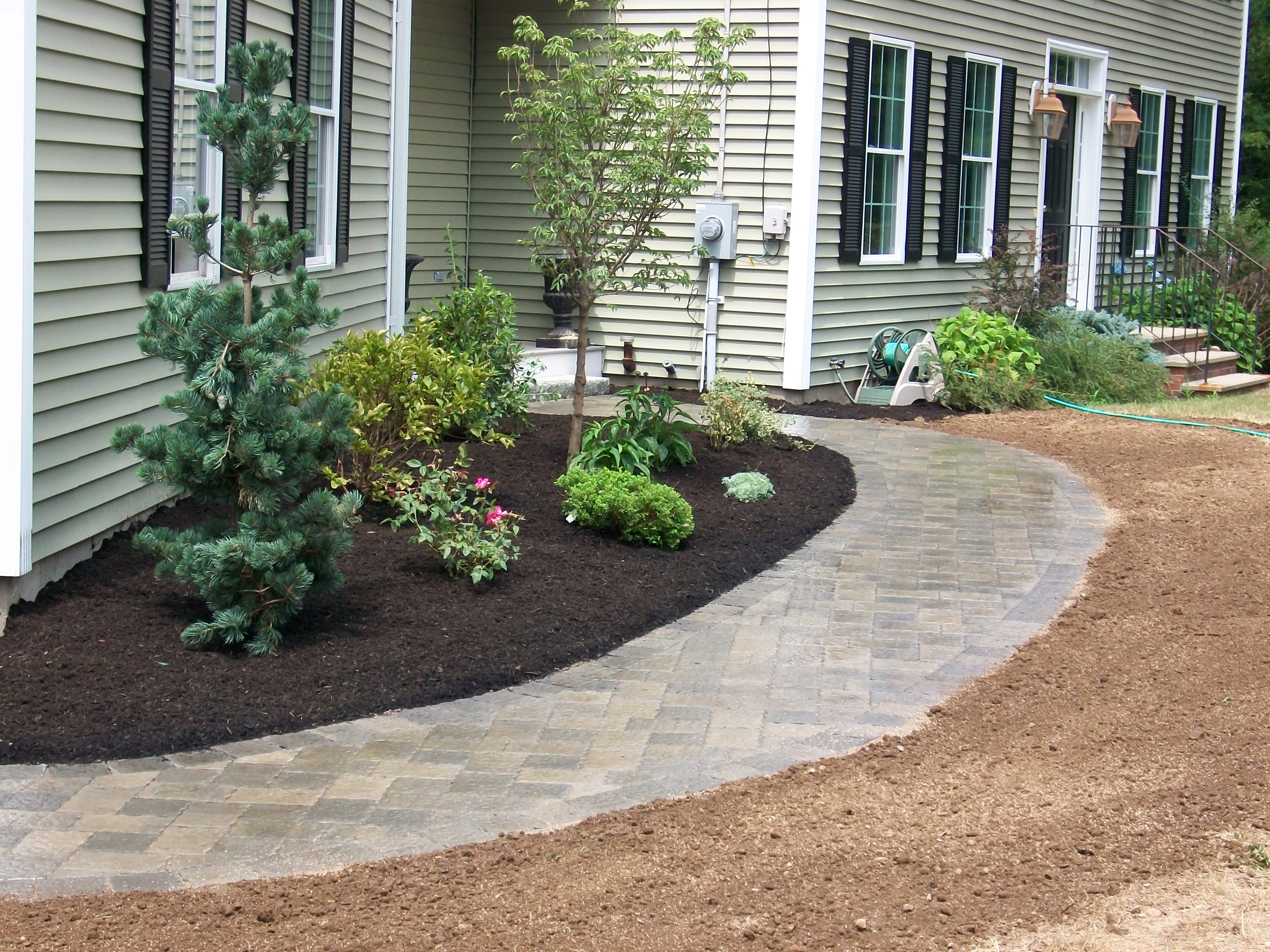 Walkway, plants Dragos Landscaping