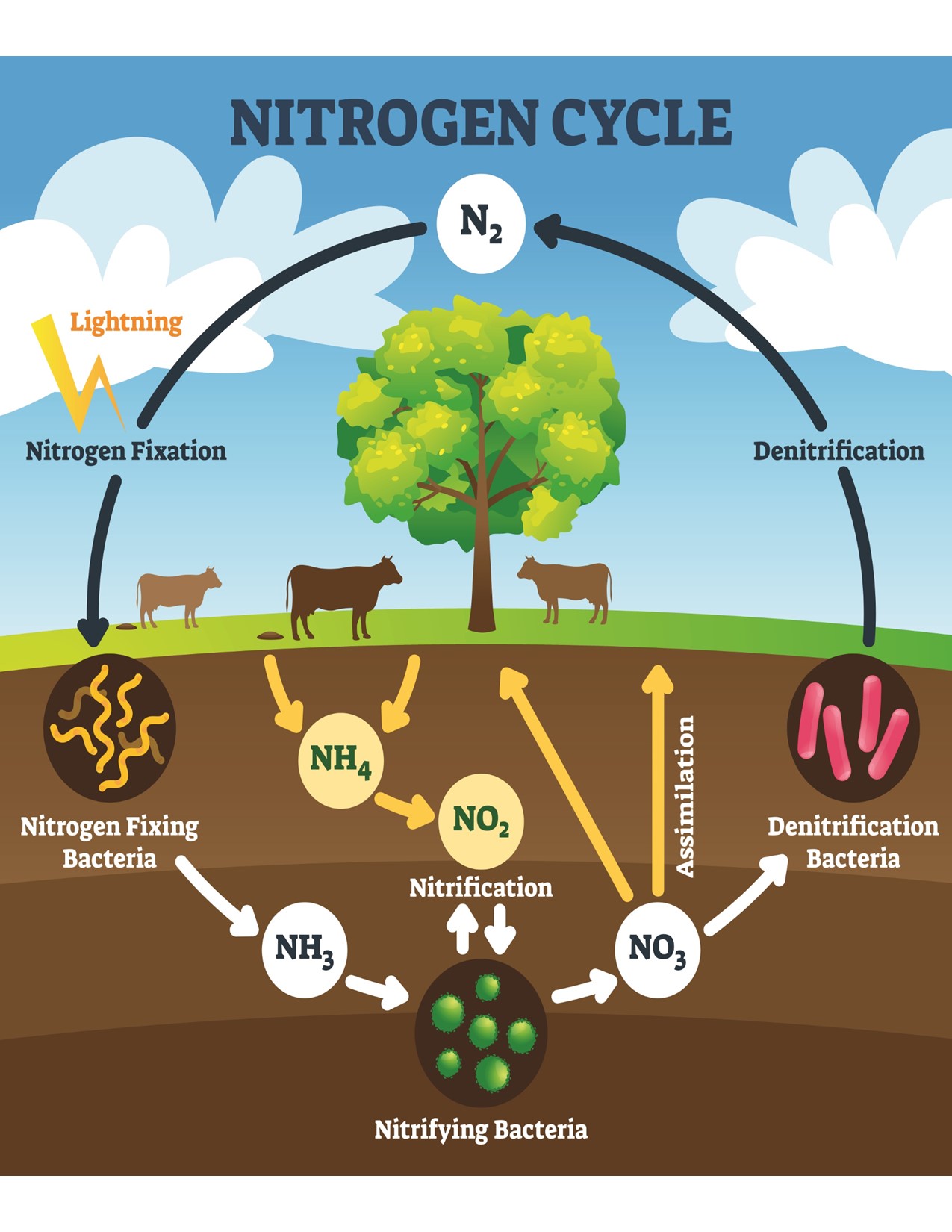 Compressed nitrogen Cycle Dragun Corporation Canada