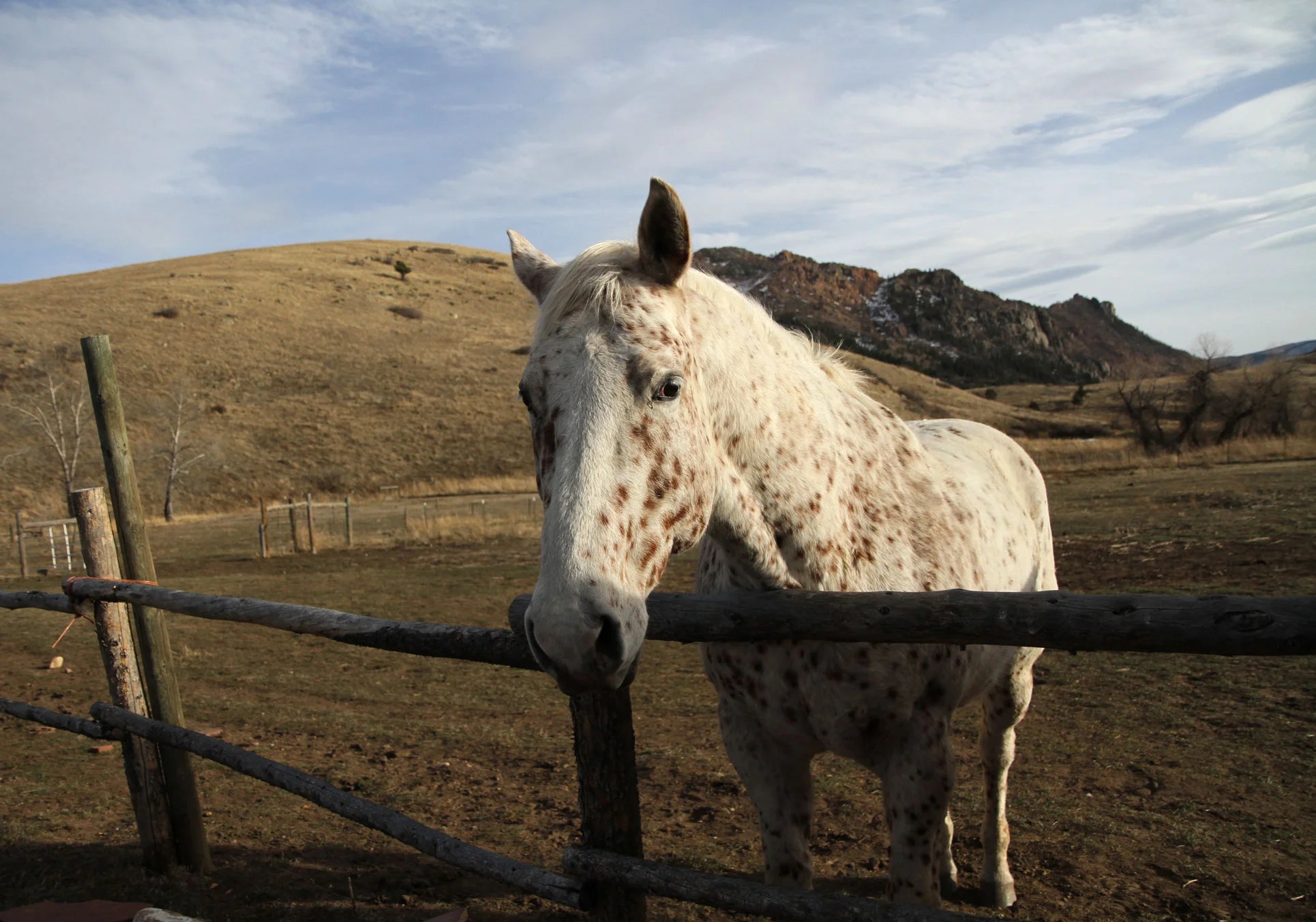 The Mountain Chicks Drala Mountain Center