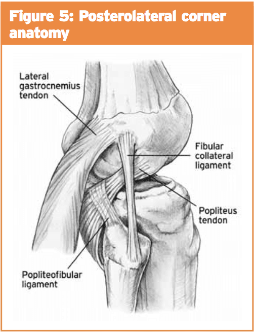 Pain Below Knee Cap Hyperextension at James Vu blog