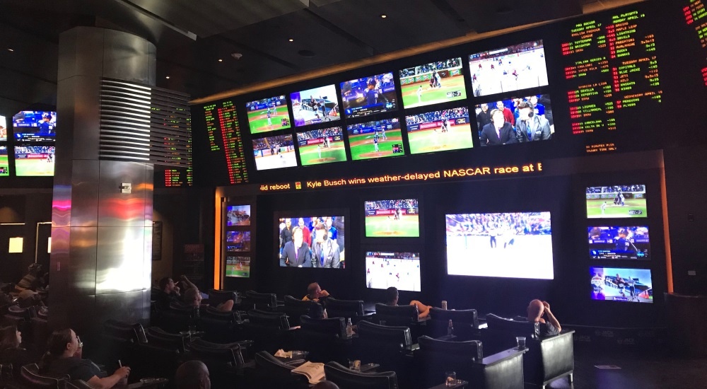 Mgm Grand Sports Book Sky Box Cost Mobile Sports Betting App Launches