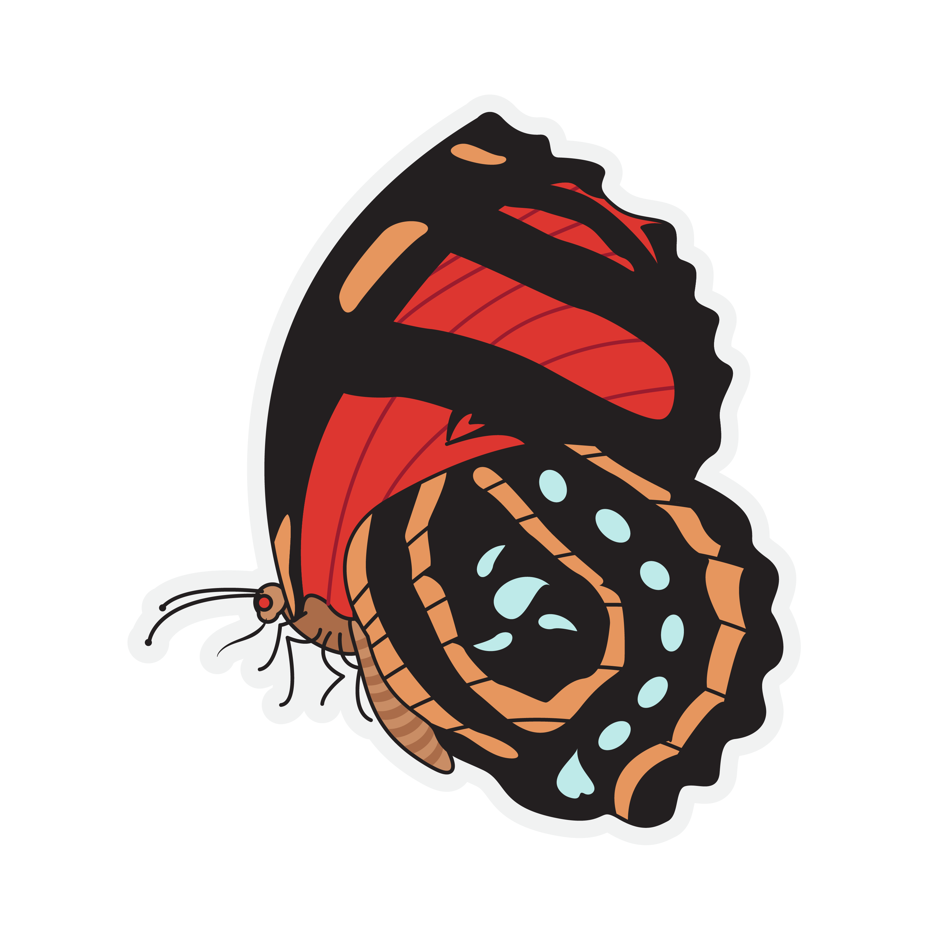 Butterfly Stickers in SVG, PNG, AI DrawHipo