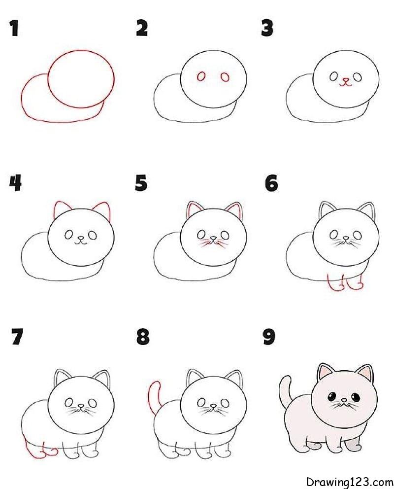 How To Draw A Step By Step Cat