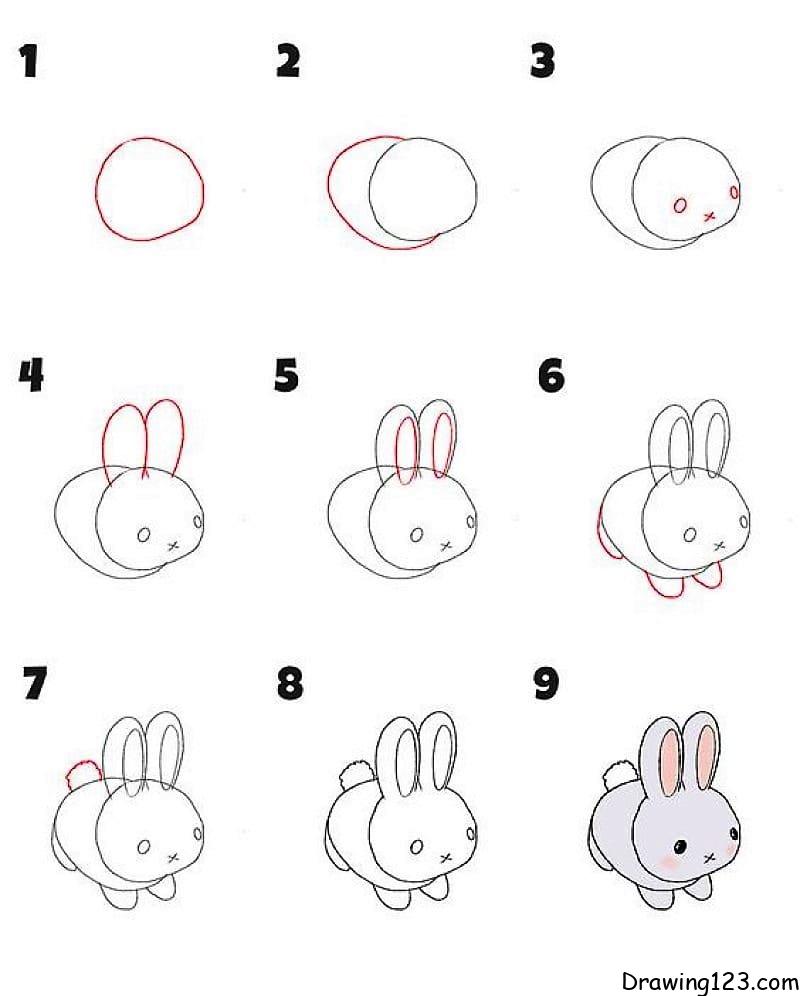 How To Draw A Bunny Step By Step For Beginners