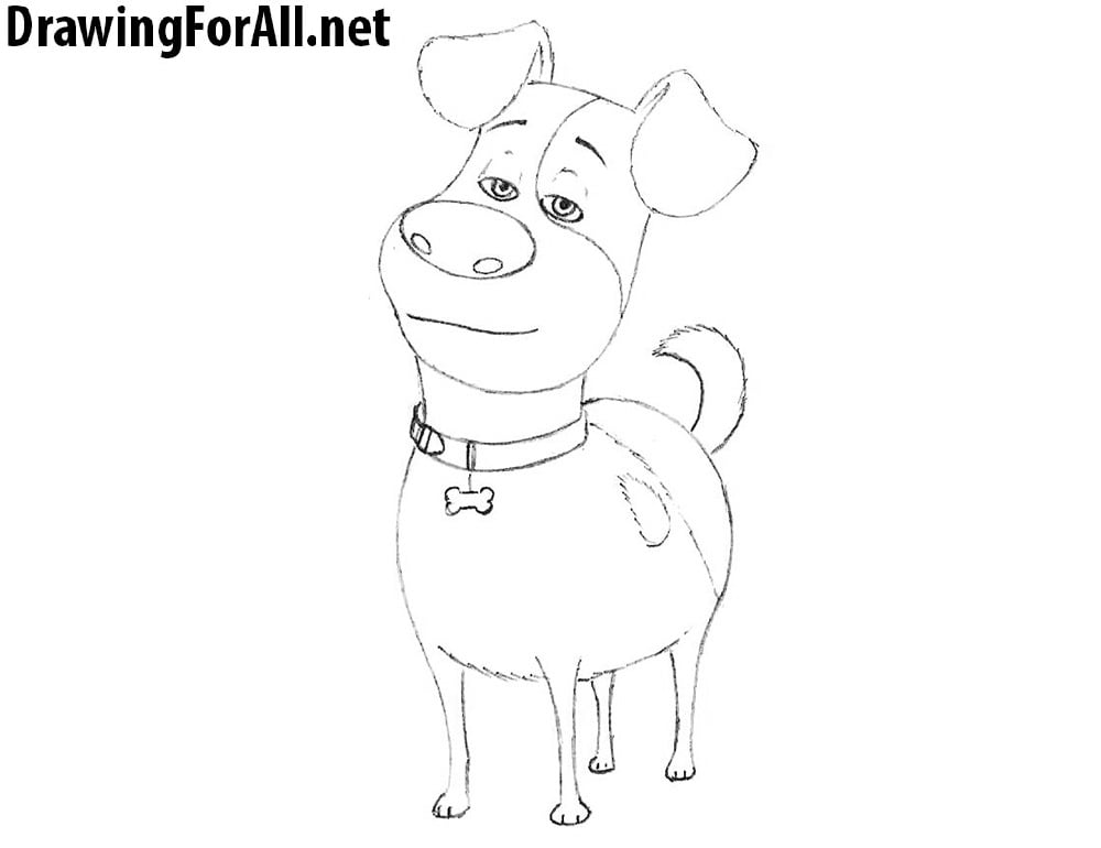 How to Draw Max from The Secret Life of Pets