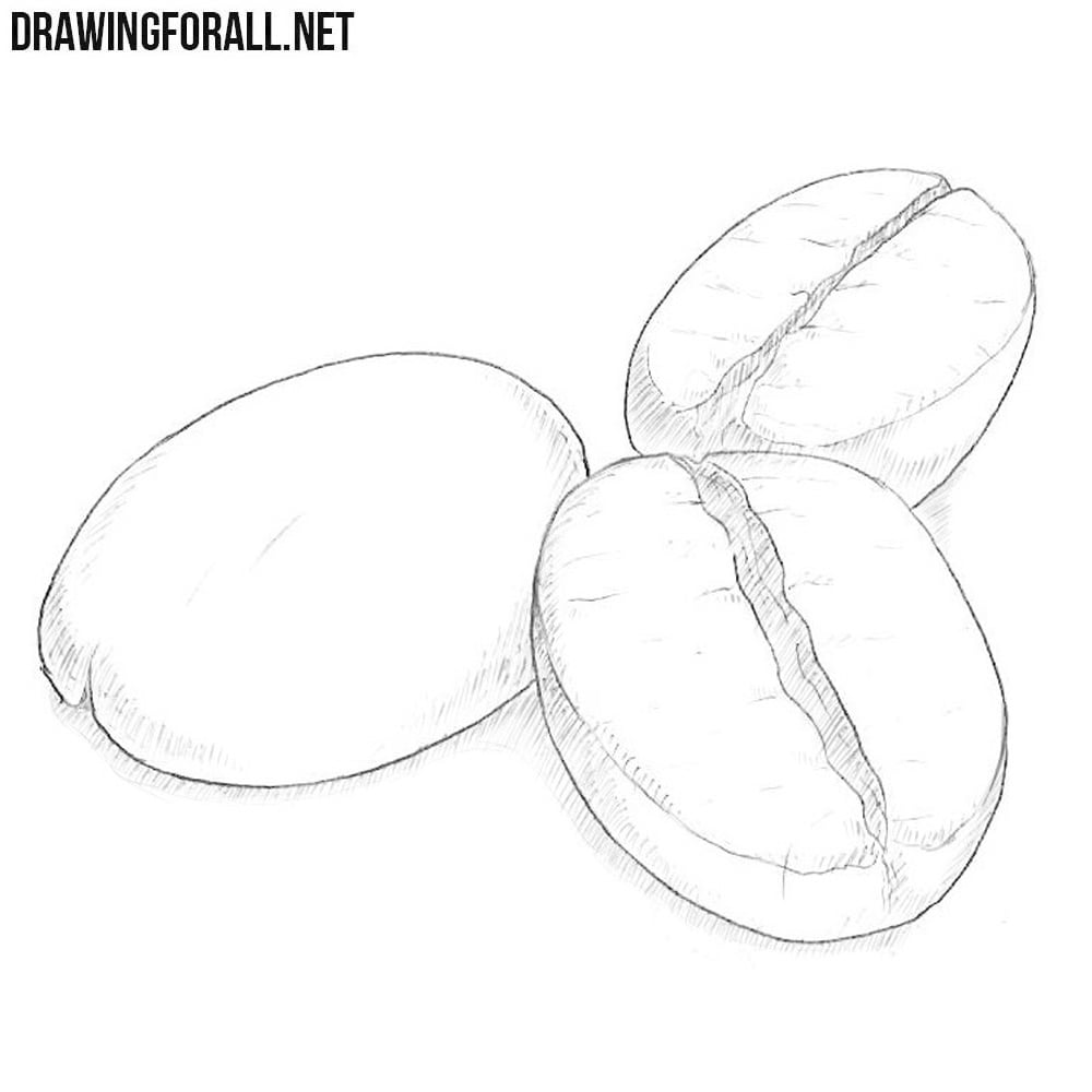 how to draw coffee beans step by step fabricarttutorialspatterns