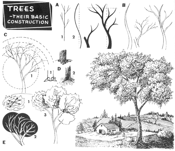 How to Draw Trees, Bark, Twigs, Leaves and Foliage Drawing Tutorial