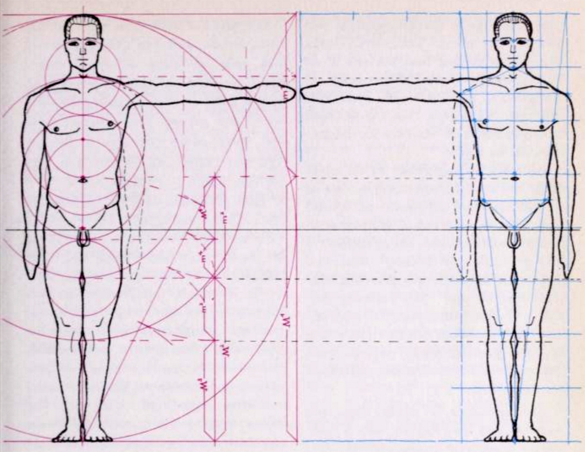 Drawing a Human Figure in Correct Measurements and Proportions with