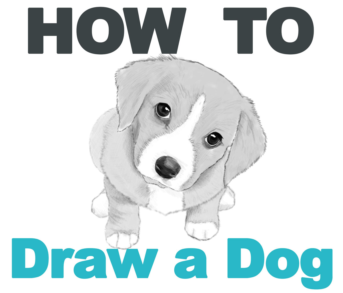 Cartoon Dog Drawings Easy