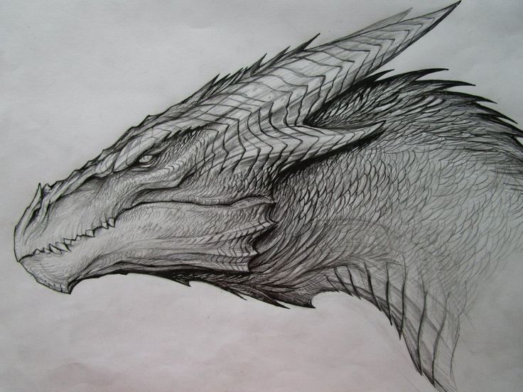 Dragon Drawing Pic Drawing Skill