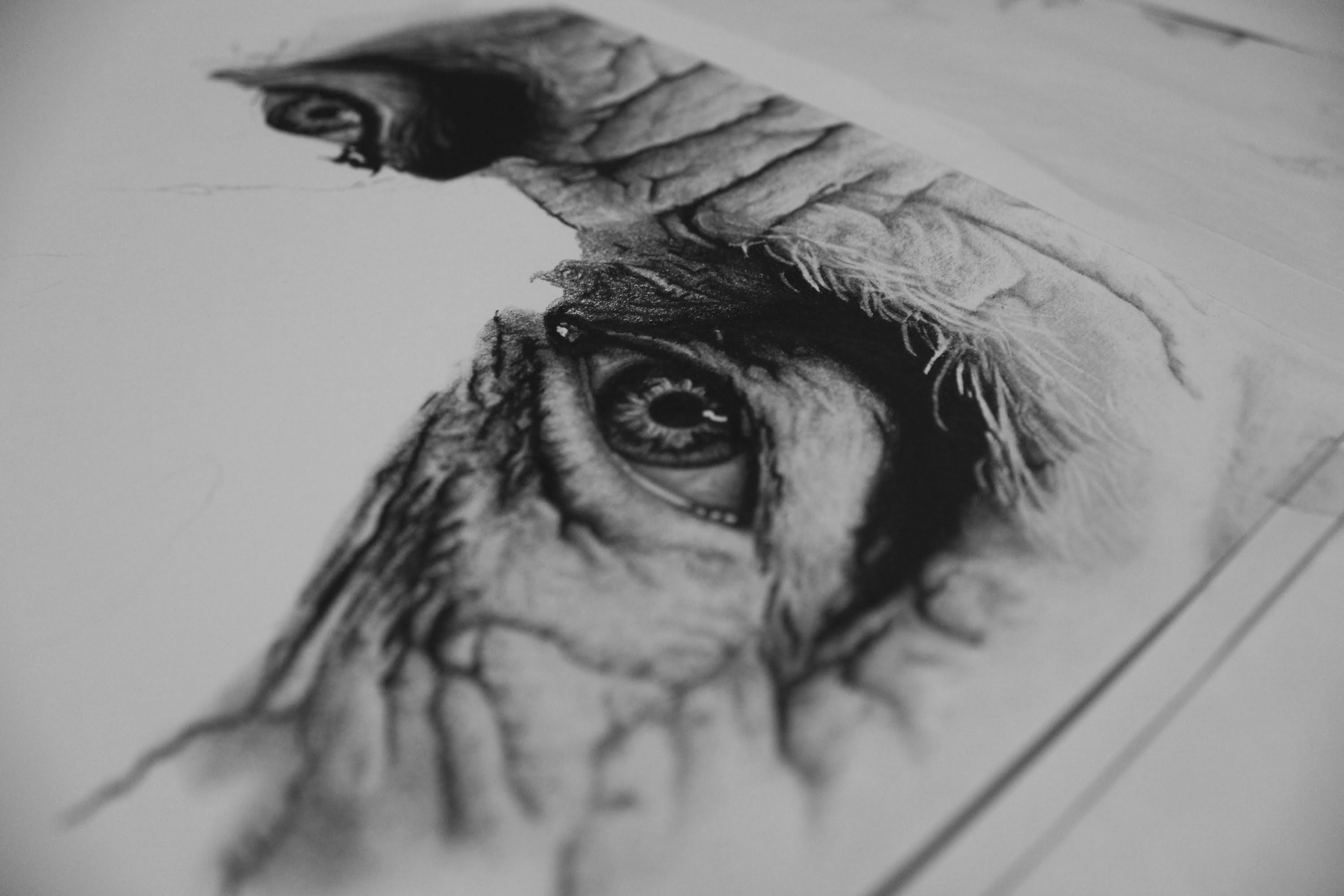 Graphite HighQuality Drawing Drawing Skill