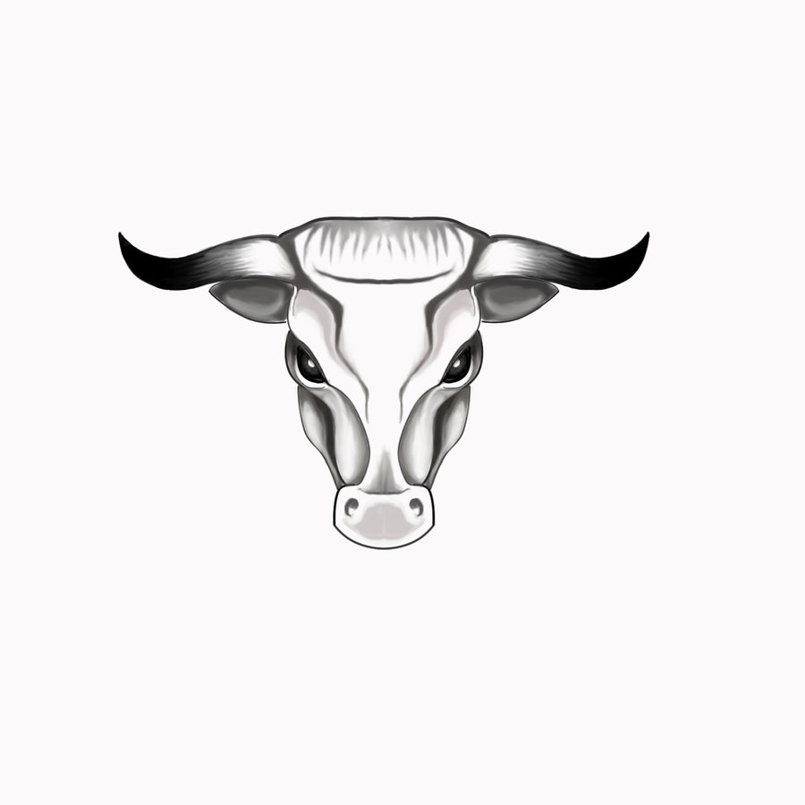 Taurus Drawing, Pencil, Sketch, Colorful, Realistic Art Images
