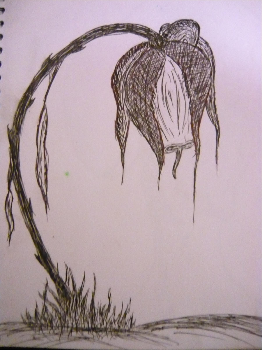 Flower Drawing Skill