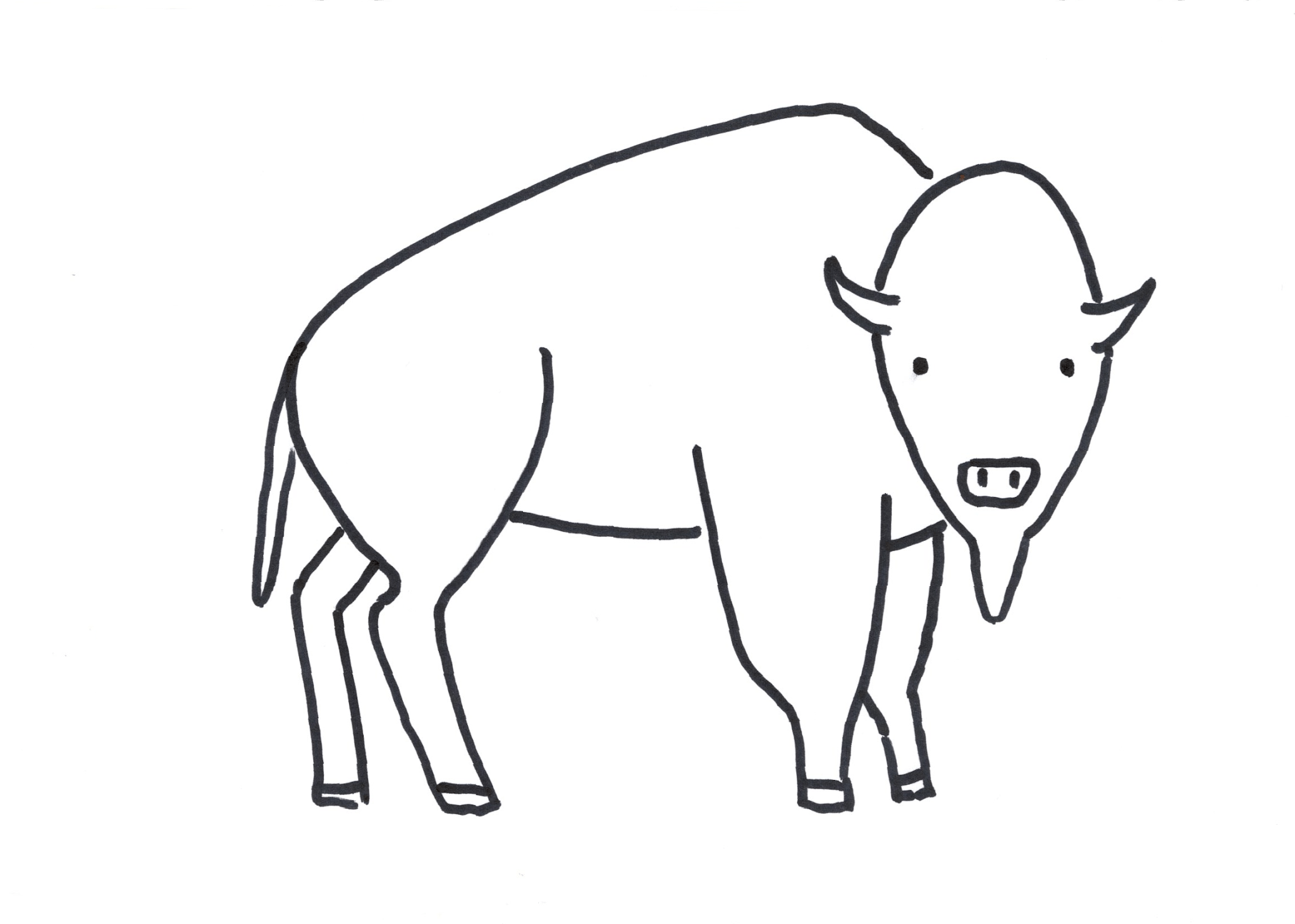 Bison Drawing Pictures Drawing Skill