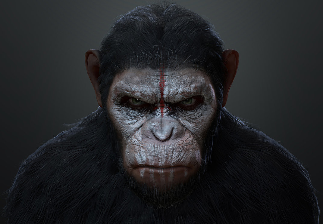 of the Apes Drawing, Pencil, Sketch, Colorful, Realistic Art