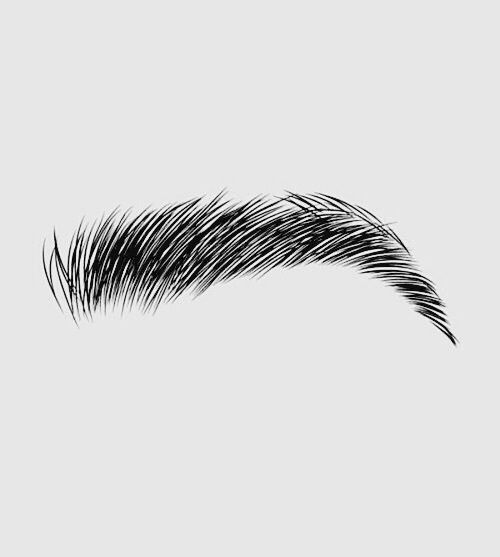 Eyebrows Drawing, Pencil, Sketch, Colorful, Realistic Art Eyebrows Drawing, Pencil, Sketch, Colorful, Realistic Art