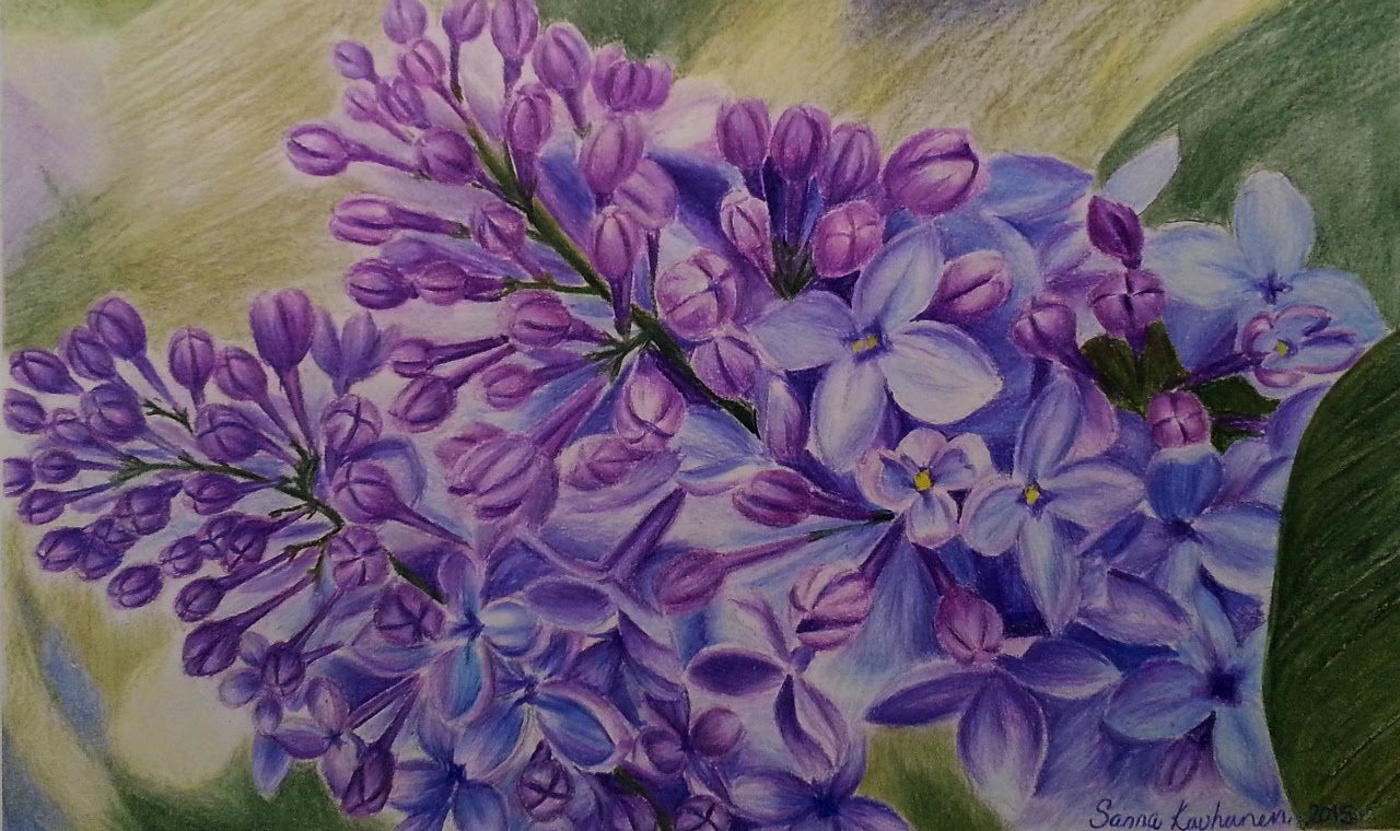 Lilac Drawing, Pencil, Sketch, Colorful, Realistic Art Images | Drawing