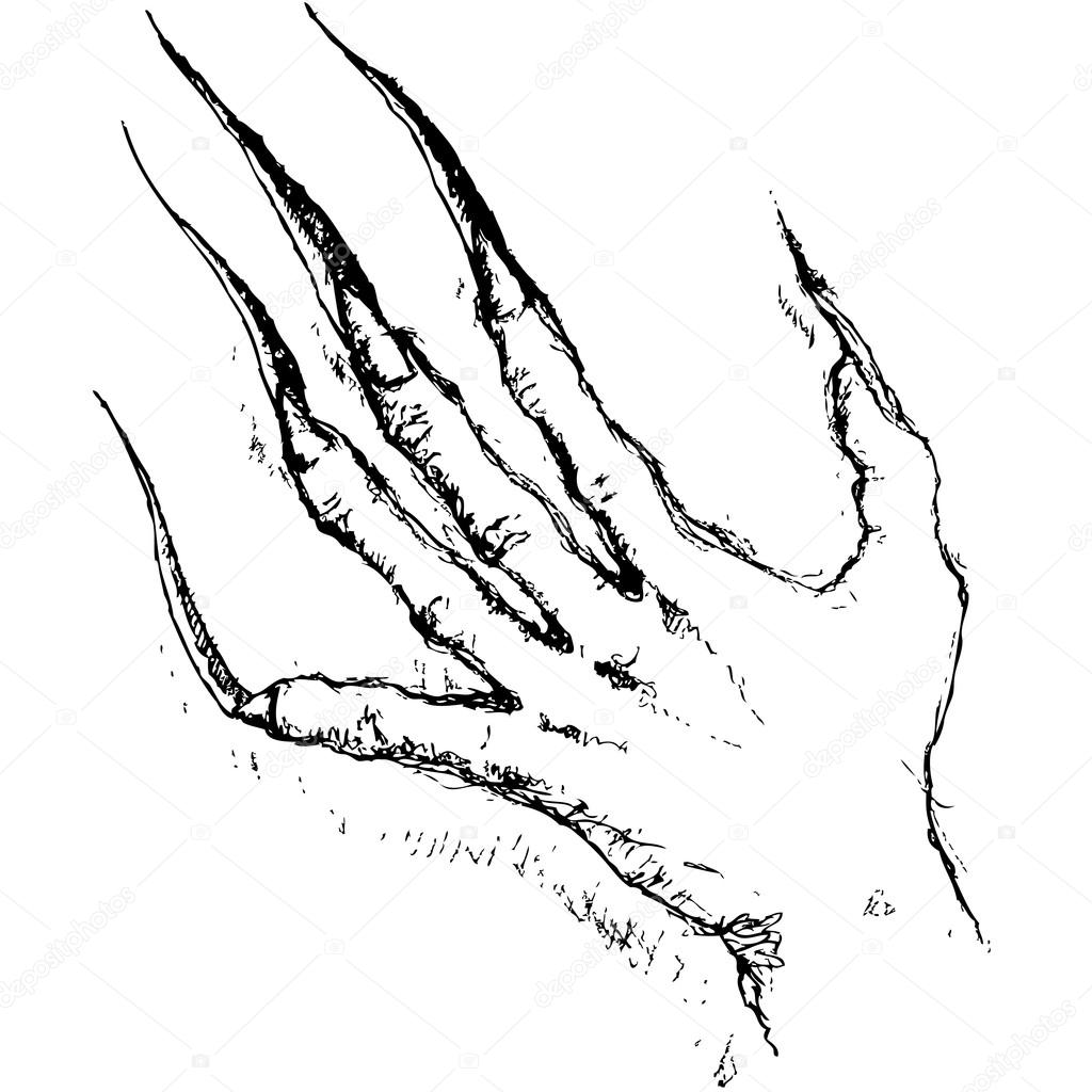 Scratches Amazing Drawing Drawing Skill