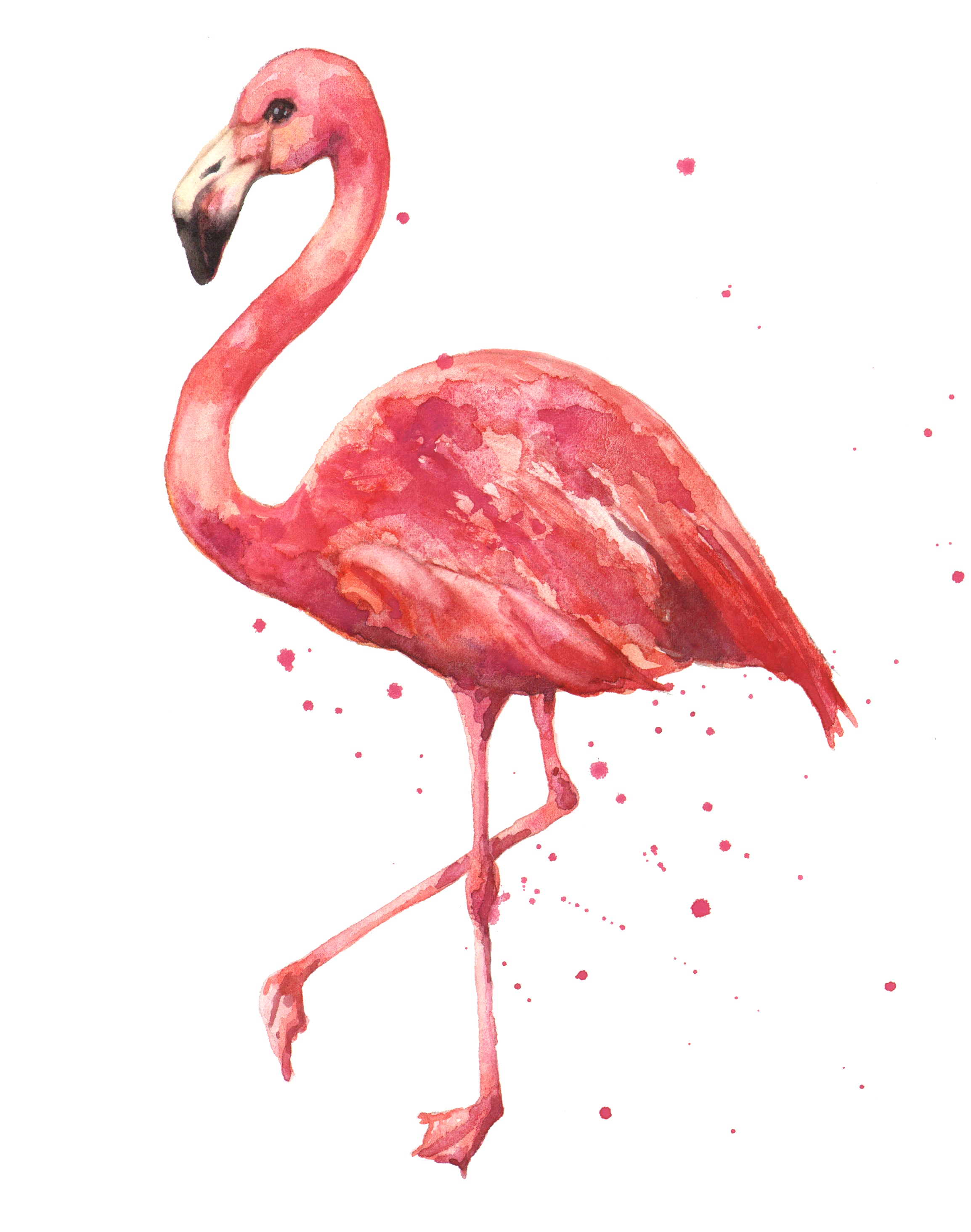 Flamingo Pencil Drawing Print A4 Print Of My Original Of A Depop