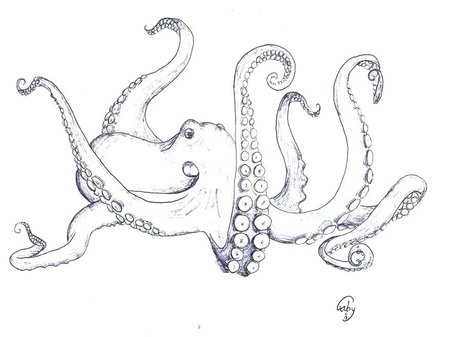 Octopus Tentacles Drawing Realistic Drawing Skill