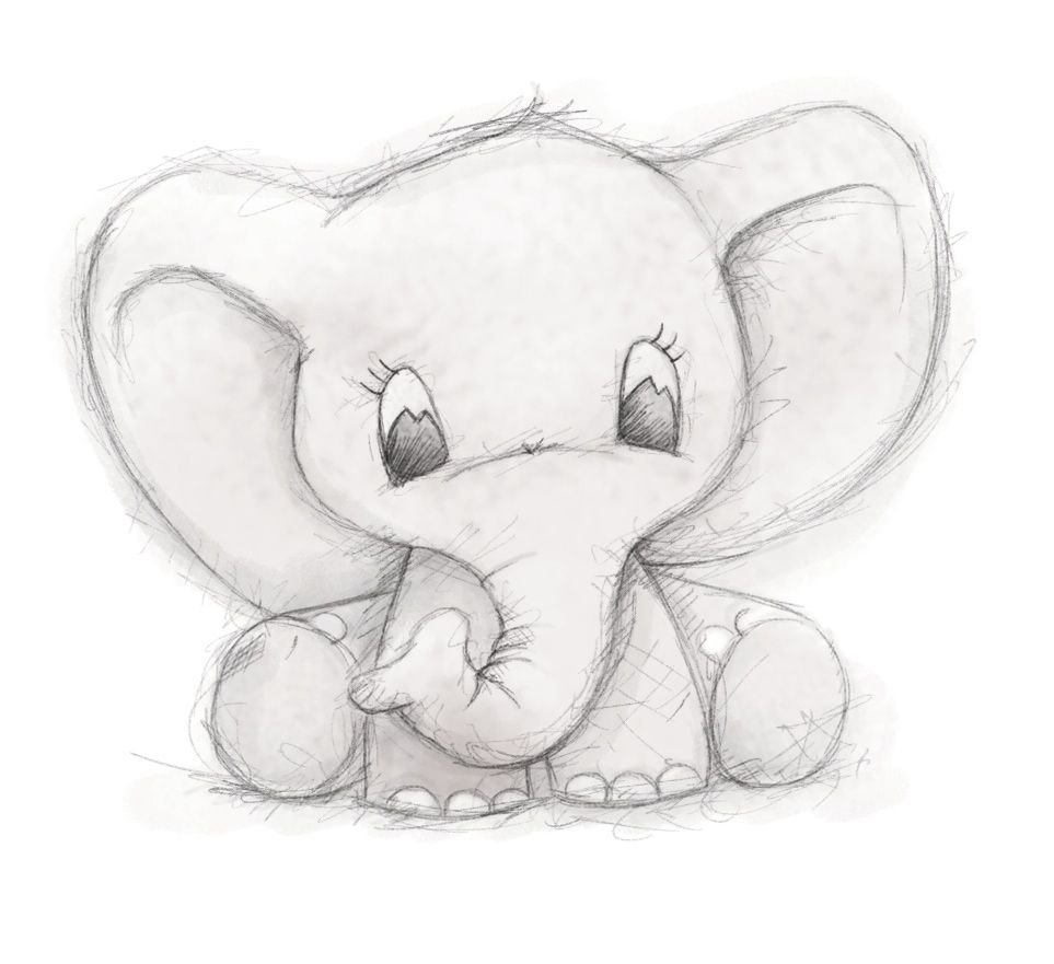 Cute Elephant Drawing Image Drawing Skill