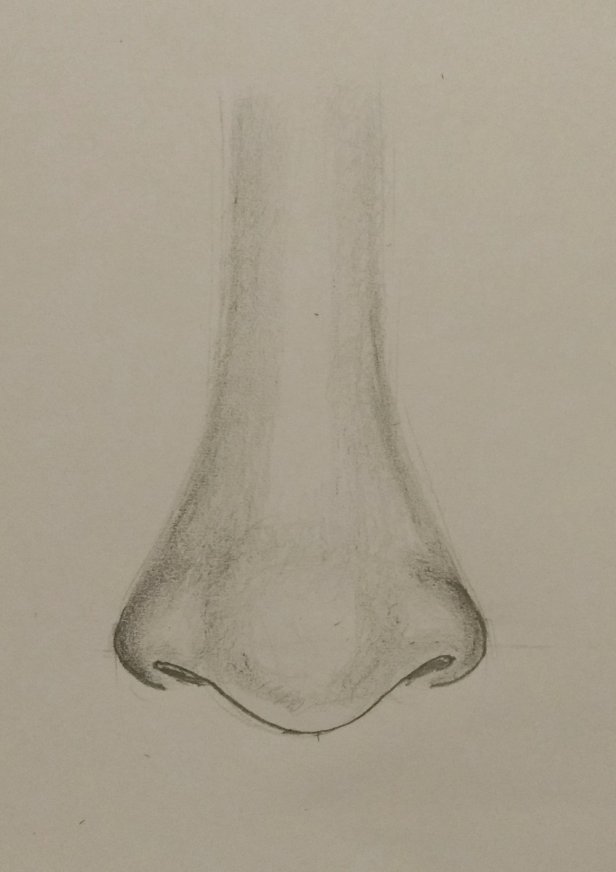 Aggregate more than 72 nose pencil sketch latest in.eteachers