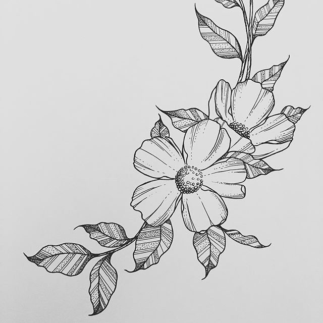 Simple Flower Drawing Art Drawing Skill